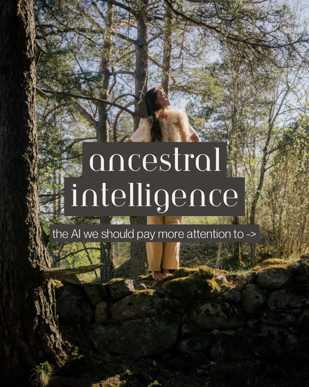 The AI I truly believe in🌳🐚🌞

Our lives are becoming more and more affected by artificial intelligence. And ancestral intelligence gets left behind.

Fast information, overstimulation and disconnection are making us forget the things that humans h