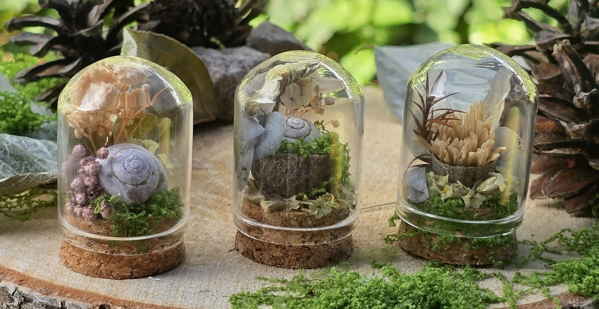 Three glass jars with cork bases containing small snail shells, moss, and dried flowers, set on a wooden surface with greenery and pinecones in the background.