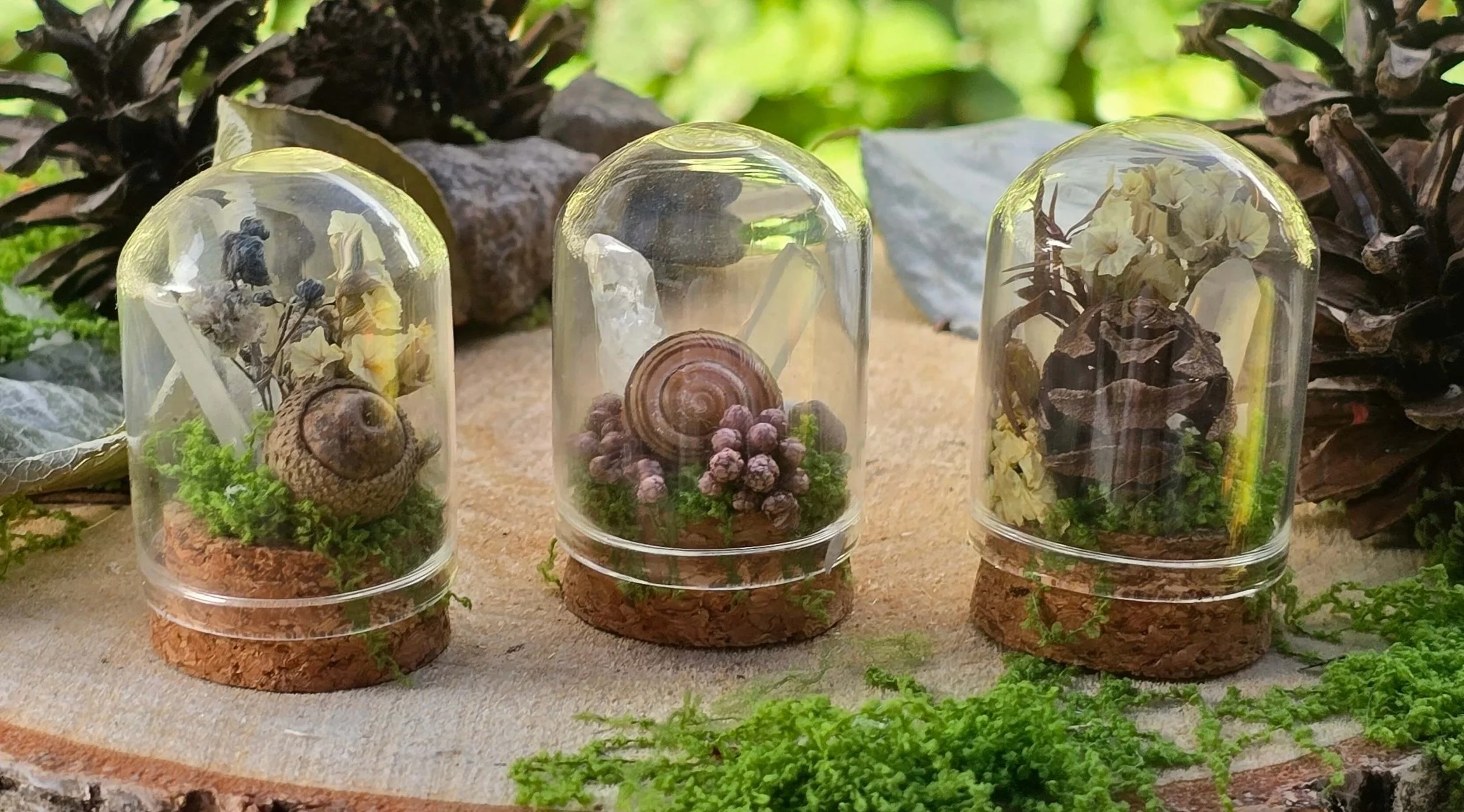 Three glass terrariums containing various plants, shells, and decorative objects, placed on a circular wooden base on a sandy surface with green moss and a background of pinecones and leaves.