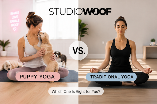 What to Wear (and Bring) to a Puppy Yoga Class in Montreal