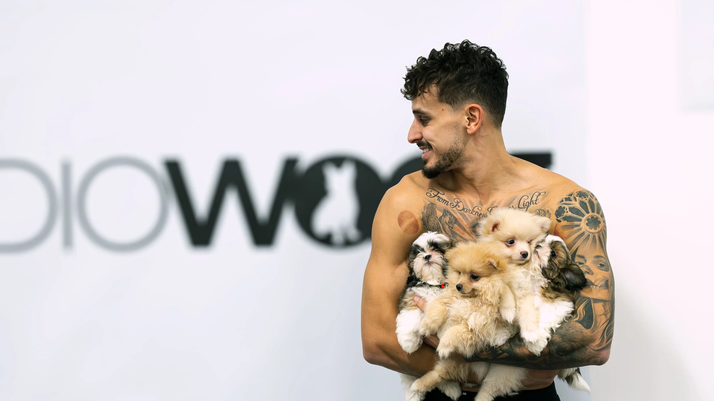 Les meilleures activités à Montréal : essayez le yoga avec des chiots