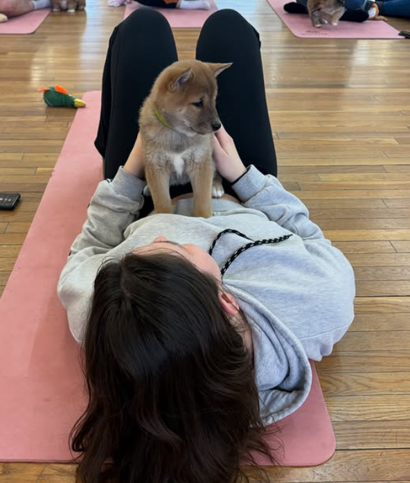Studio Woof is not just a fitness class