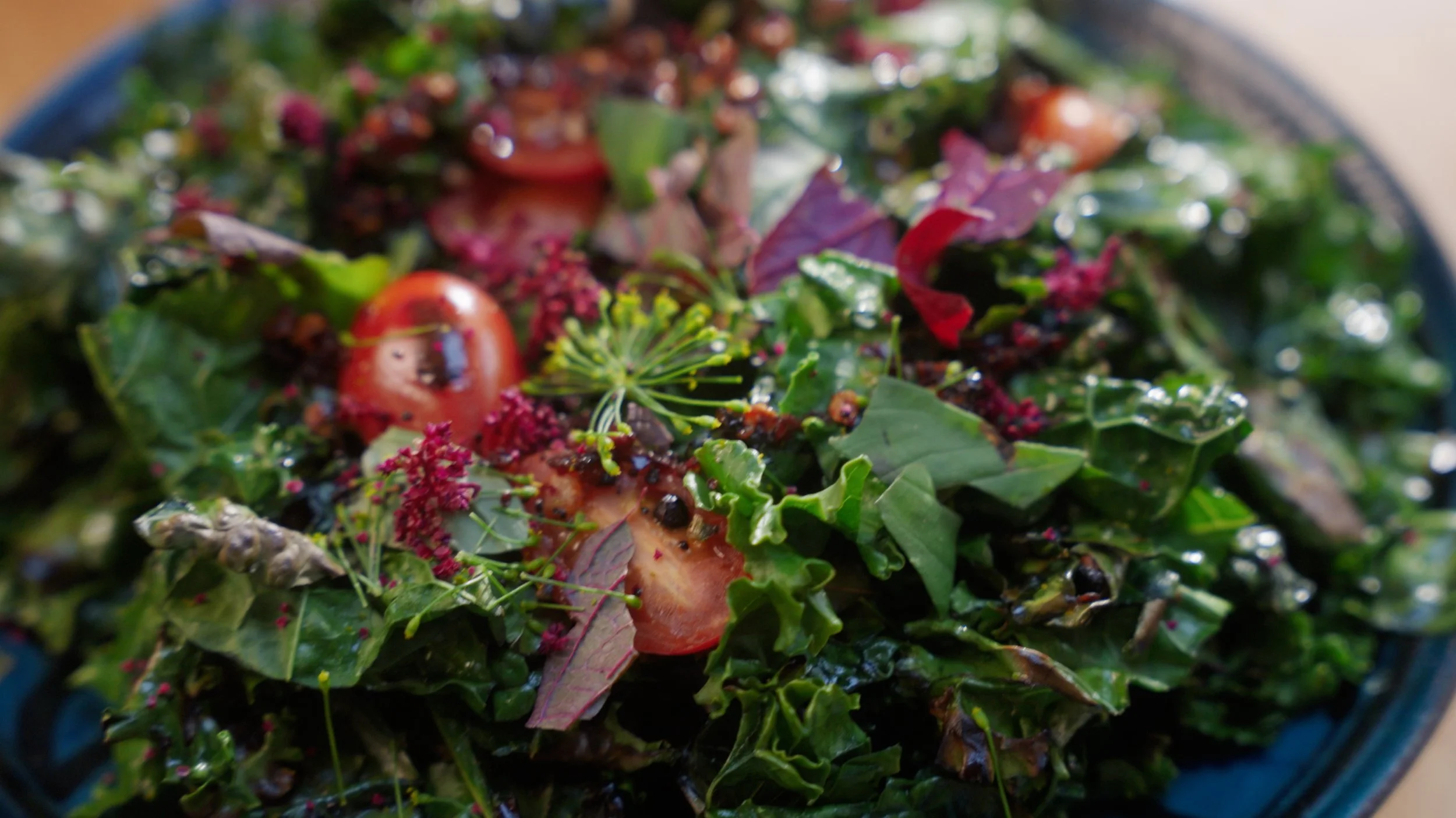 Homepage v1.00_04_02_23.Still002.jpg