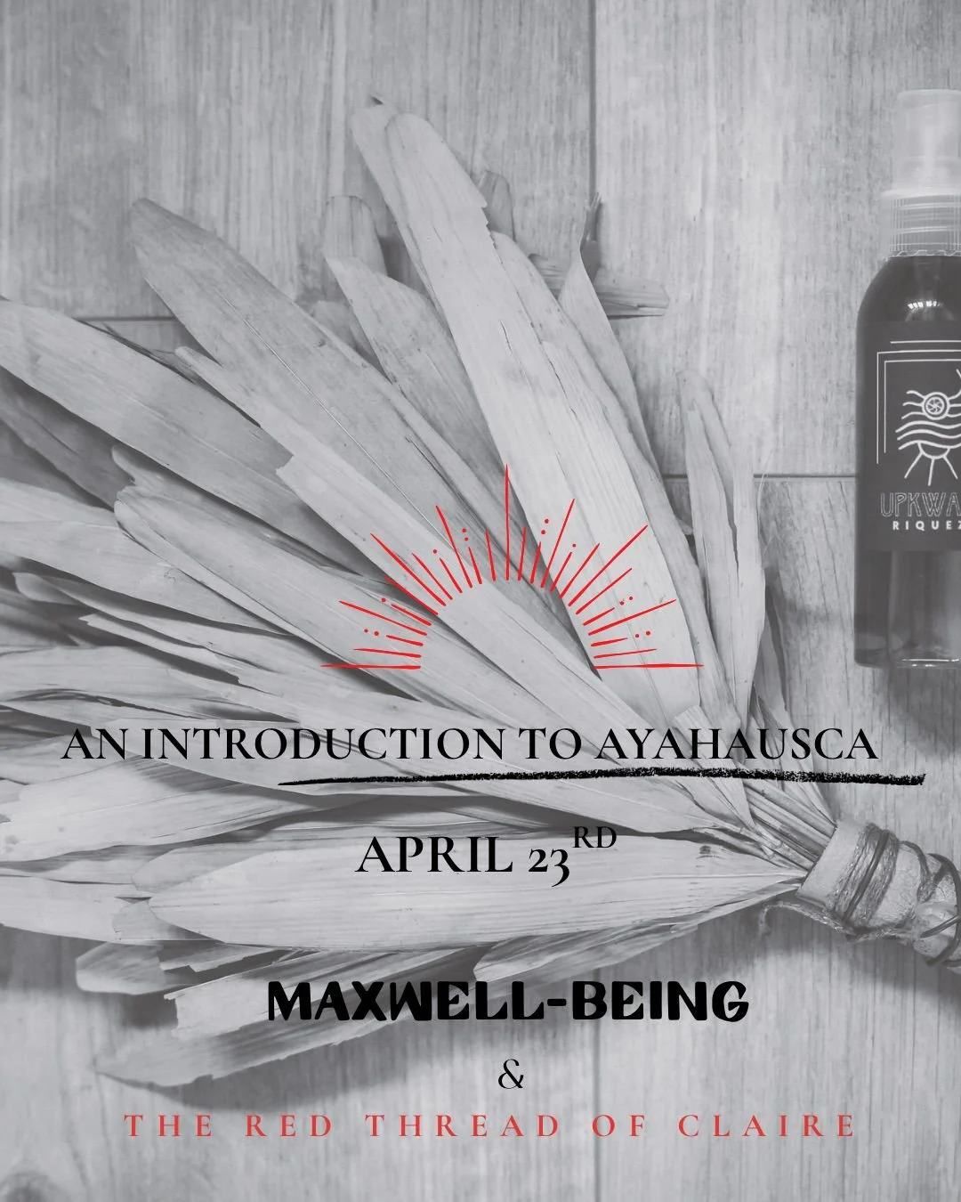 An Introduction to Ayahuasca ~ Meeting the Medicine