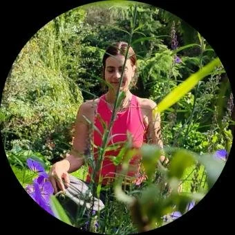 Gentle Hatha Yoga Flow