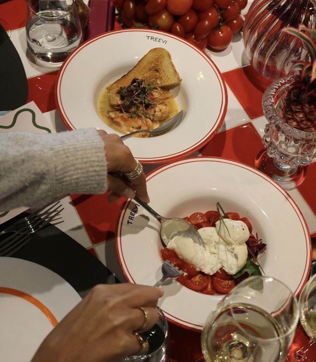 treevi-new-menu-launch-brunch-2024.jpg