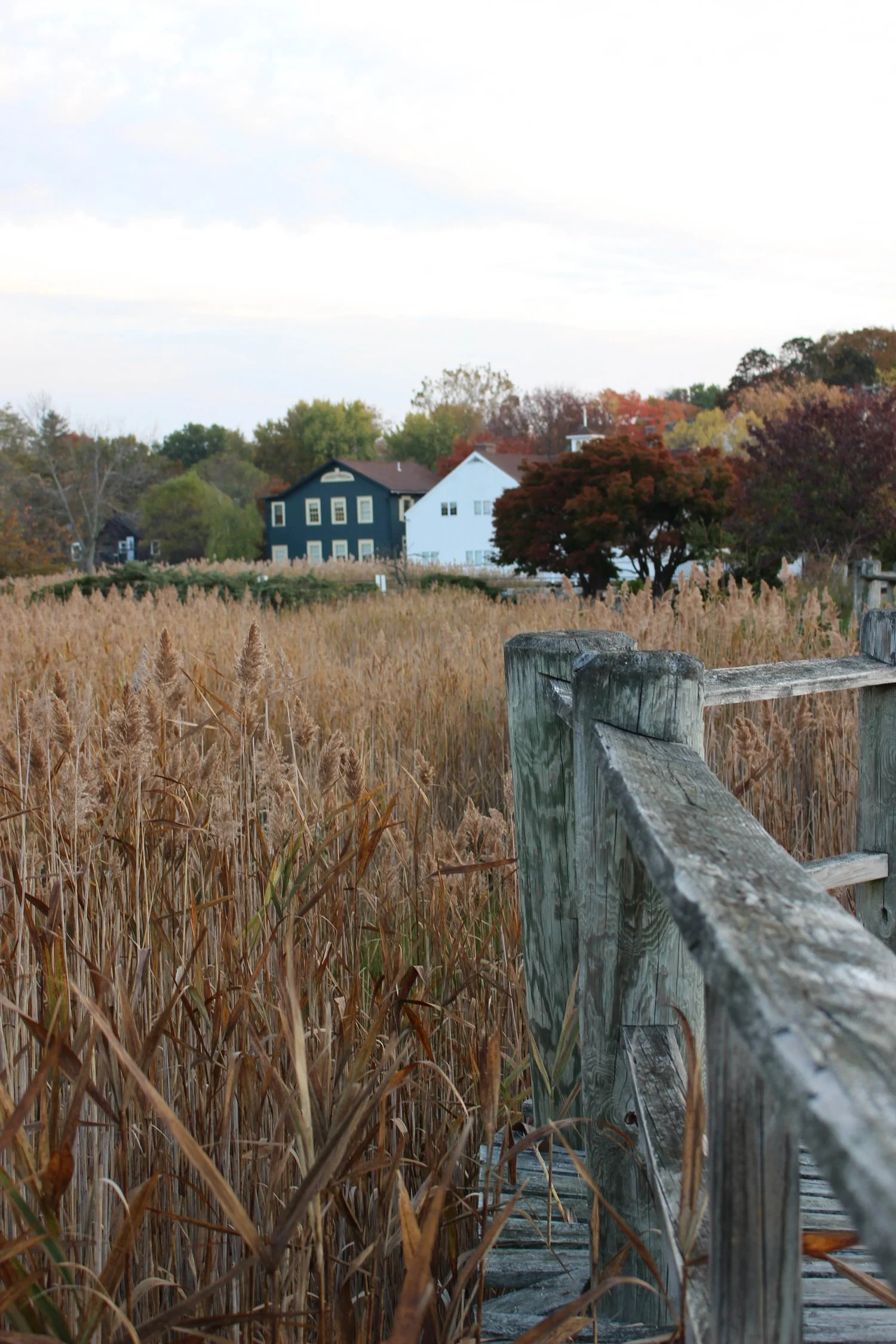 Downtown Westport Saugatuck River.jpg