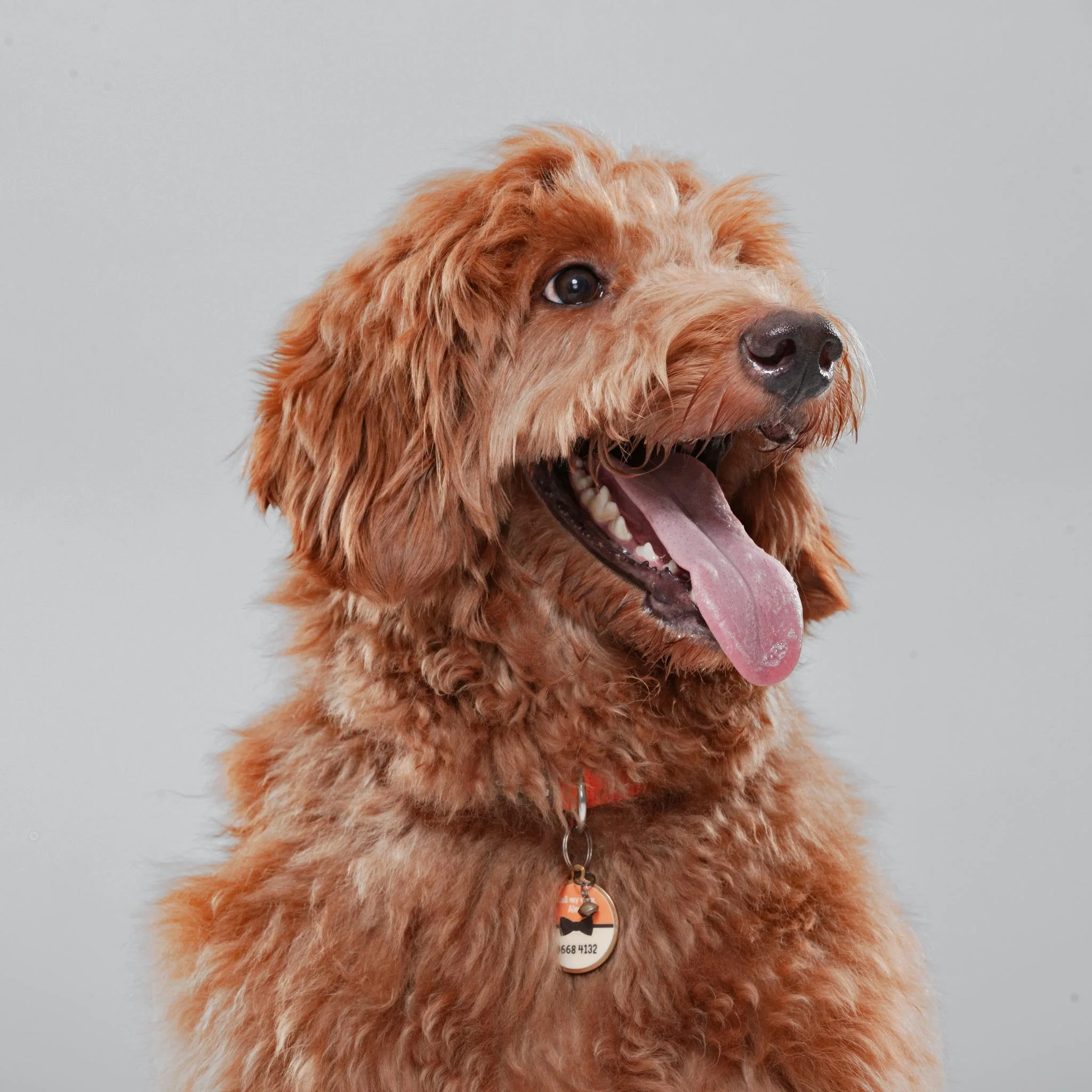 CooperYap-Portfolio(Online).jpg