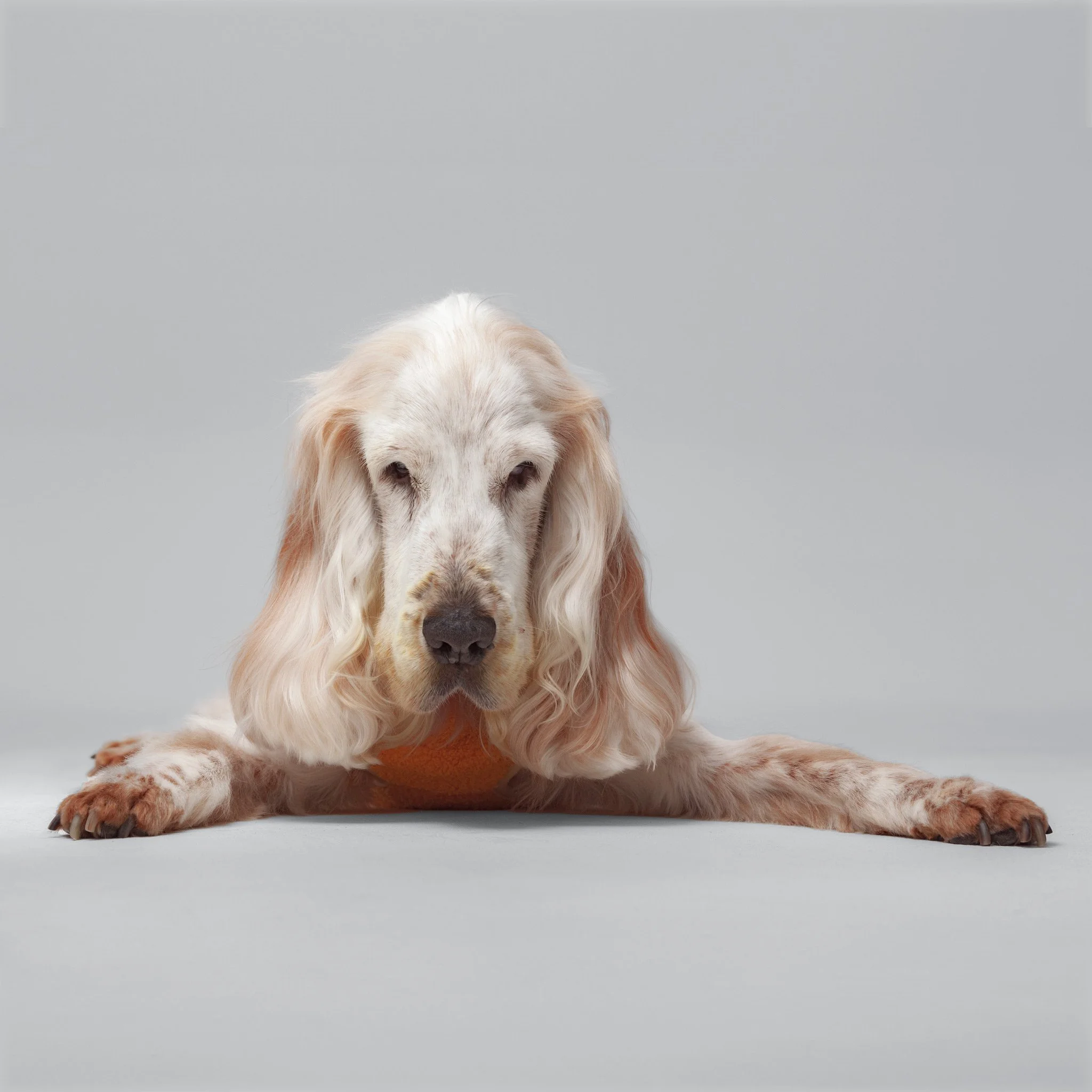 Willis-Portfolio(Online).jpg