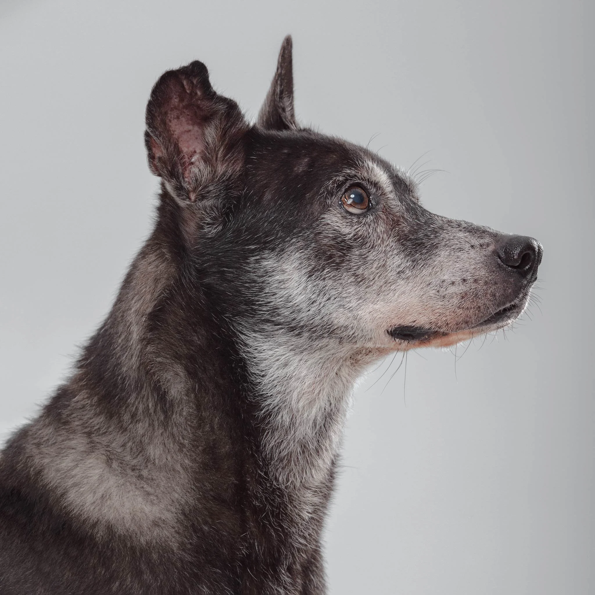Cooper-Portfolio(Online).jpg