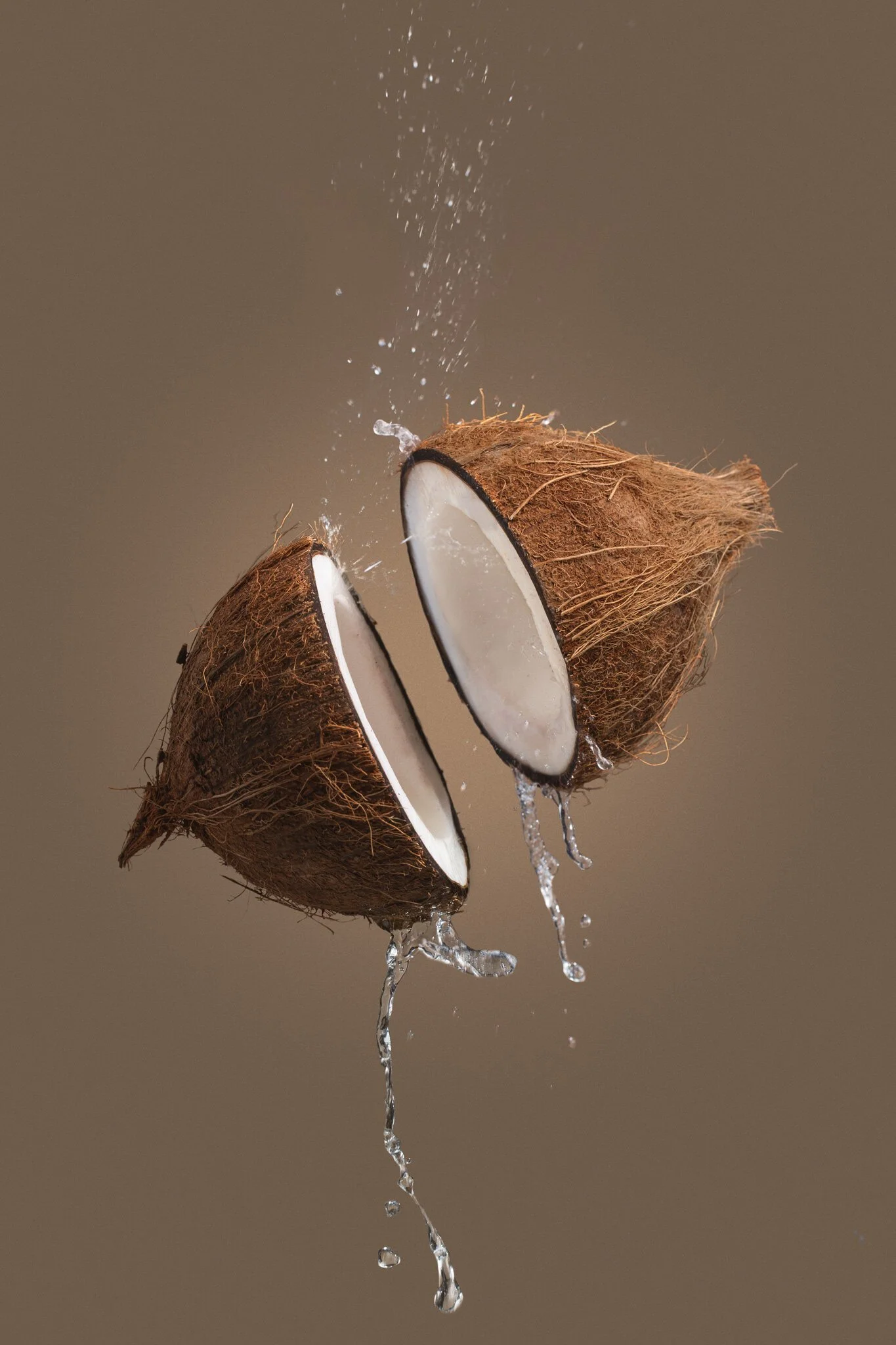 Ninja-Coconut.jpg