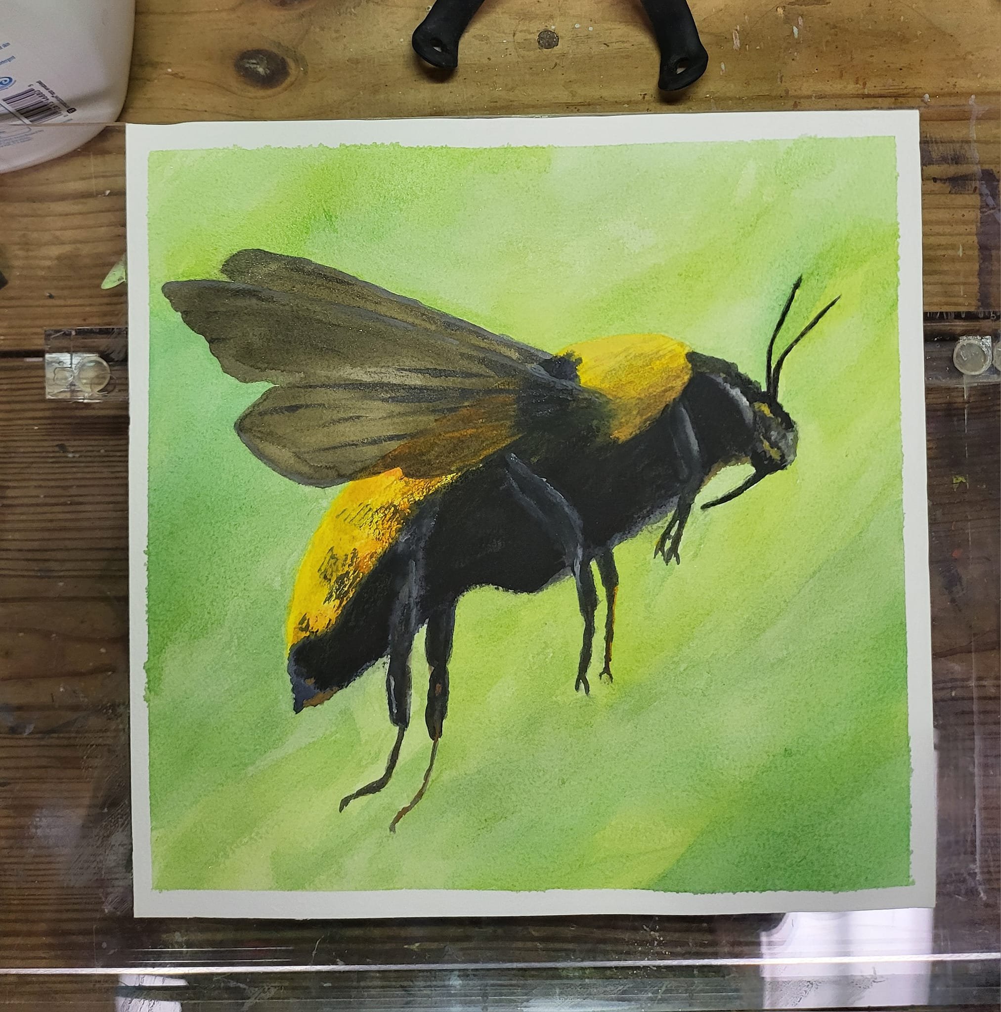 Bumble On

10x10 - watercolor
