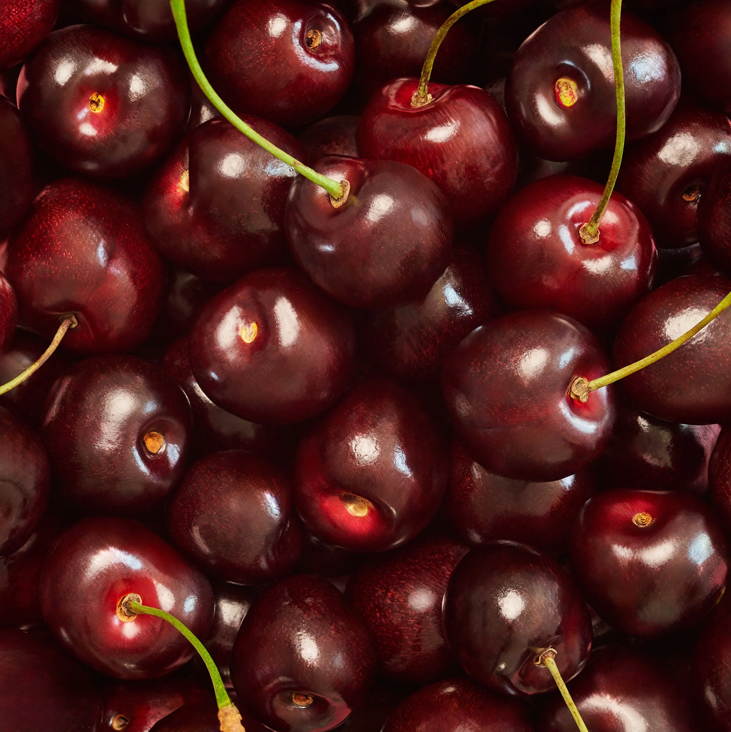 TCC_INGRIDIENT_CHERRY_01 - Copy.jpg