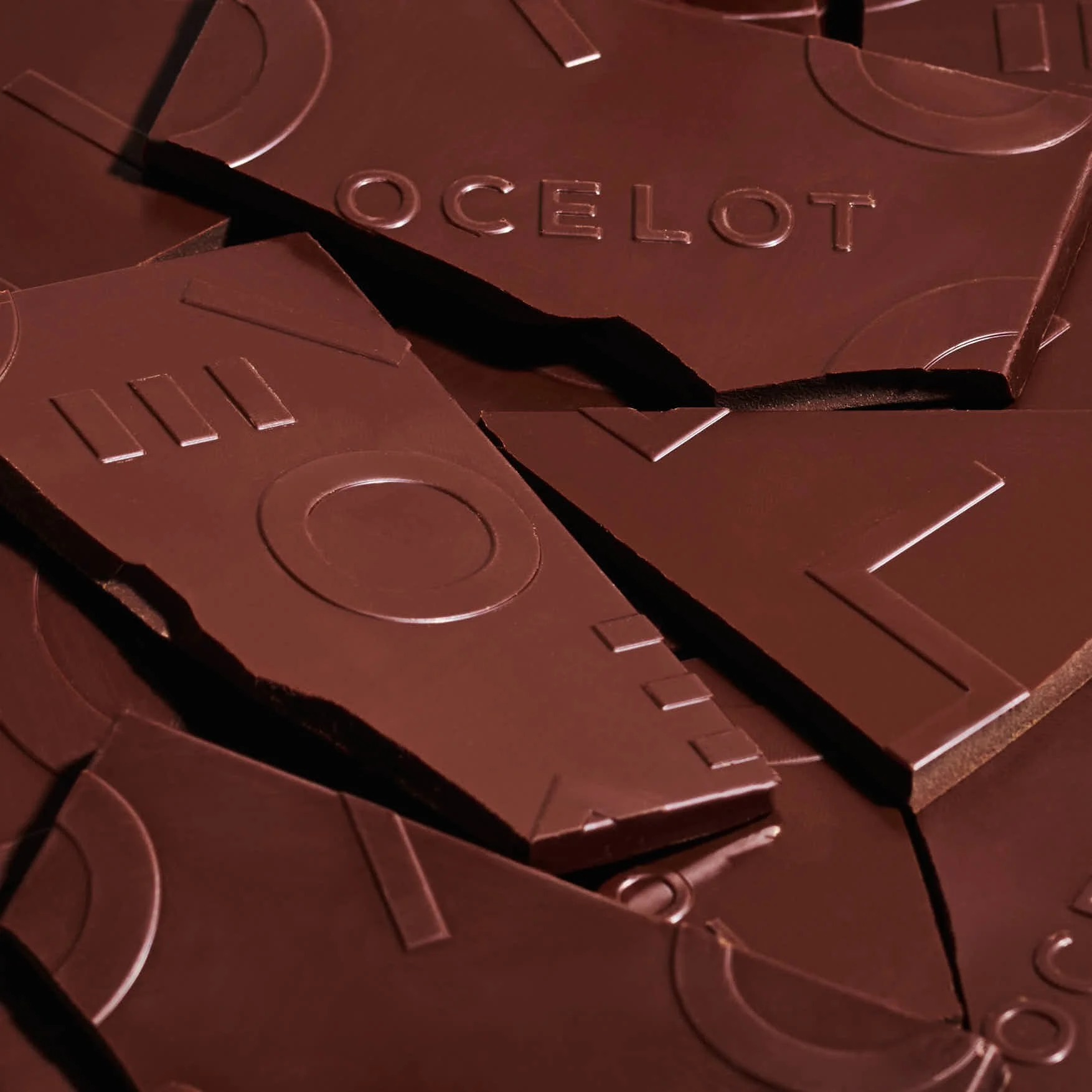 Ocelot_Chocolate_1.jpg