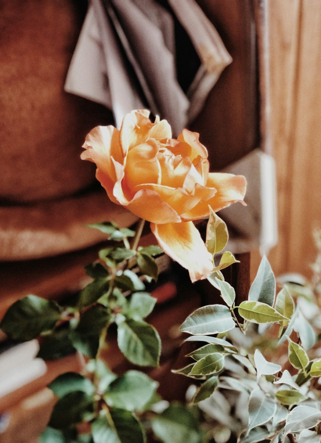 What have you outgrown?