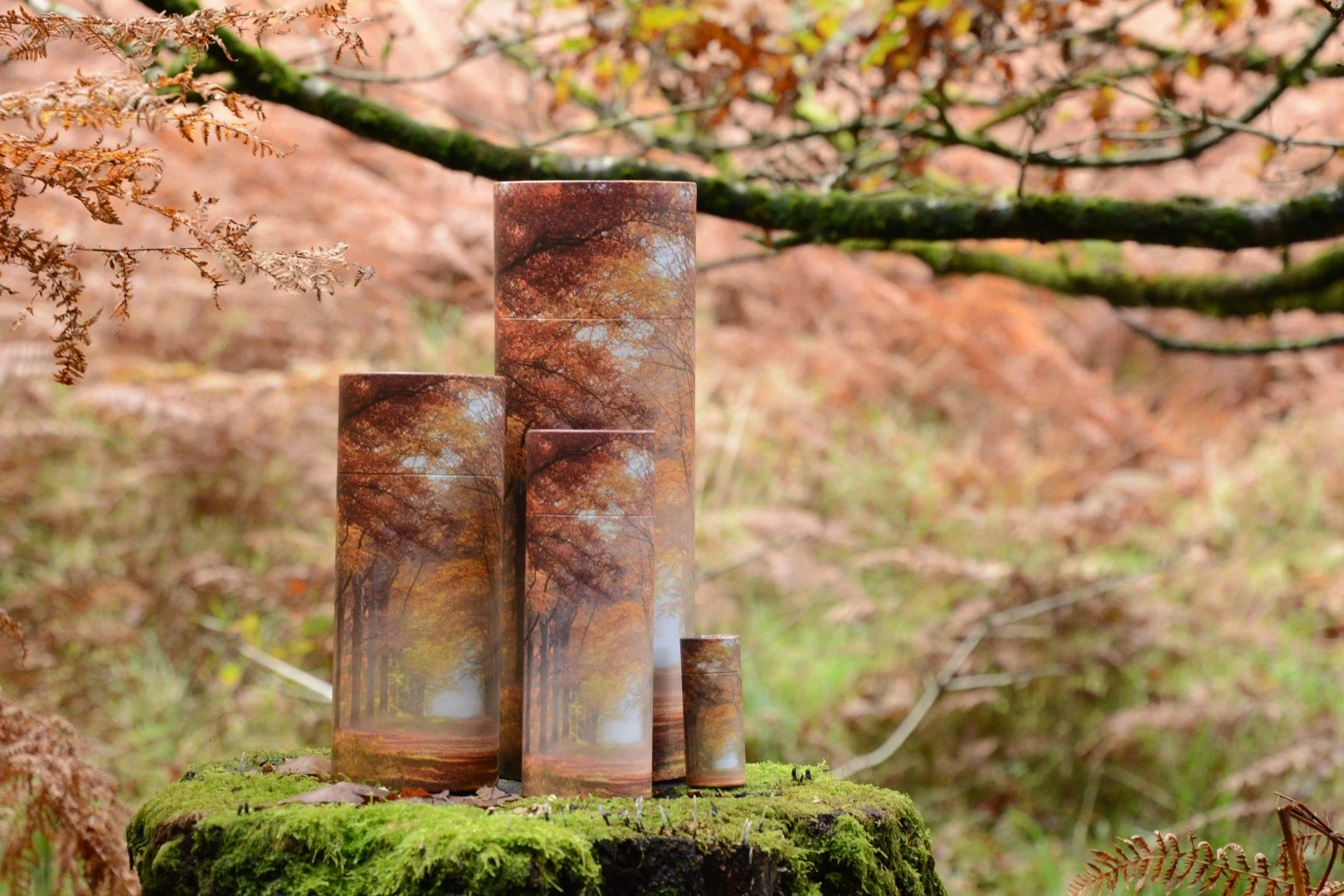 Autumn Ashes Scattering Tubes (Large).jpeg