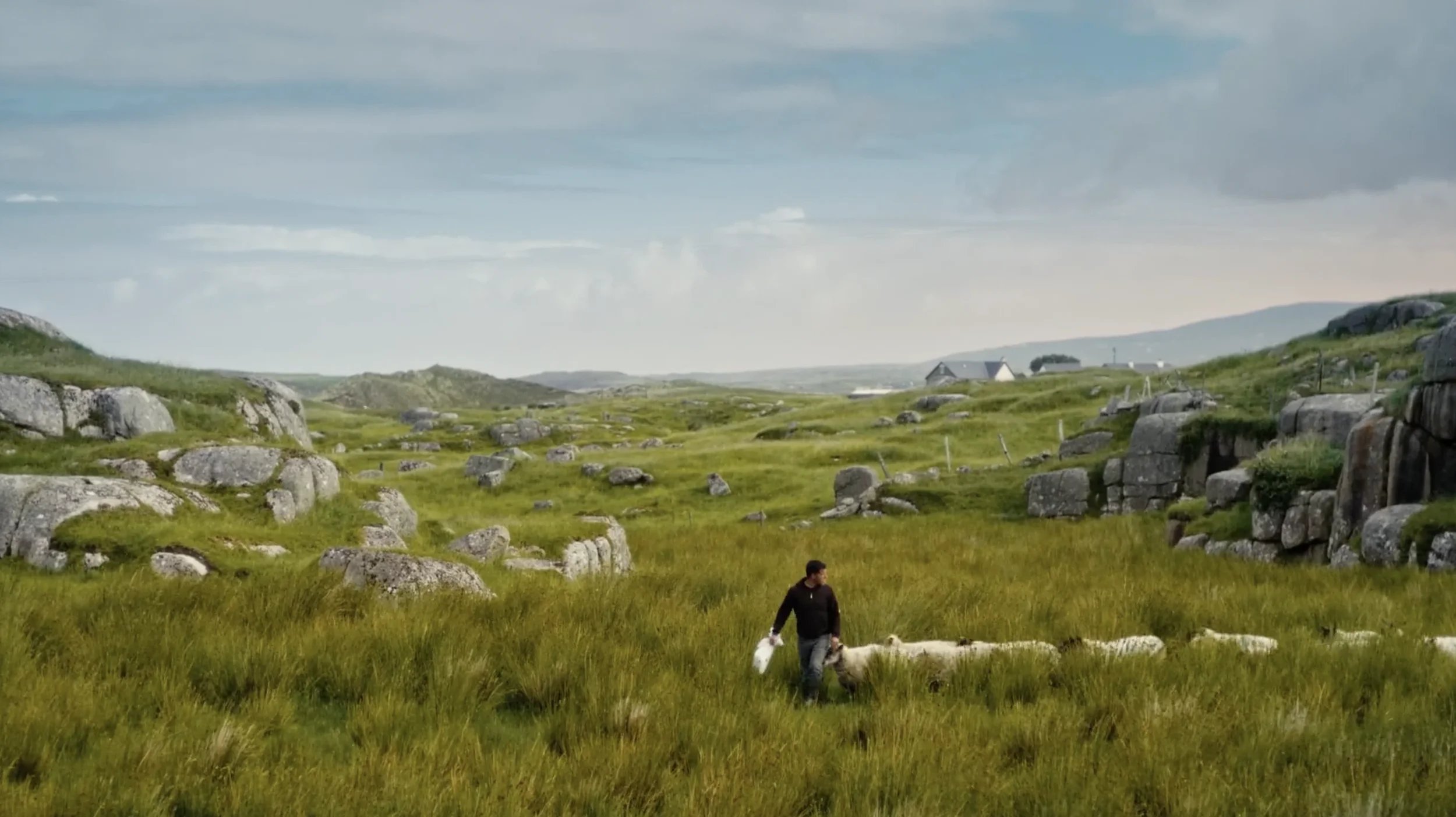 Project Carrickfinn