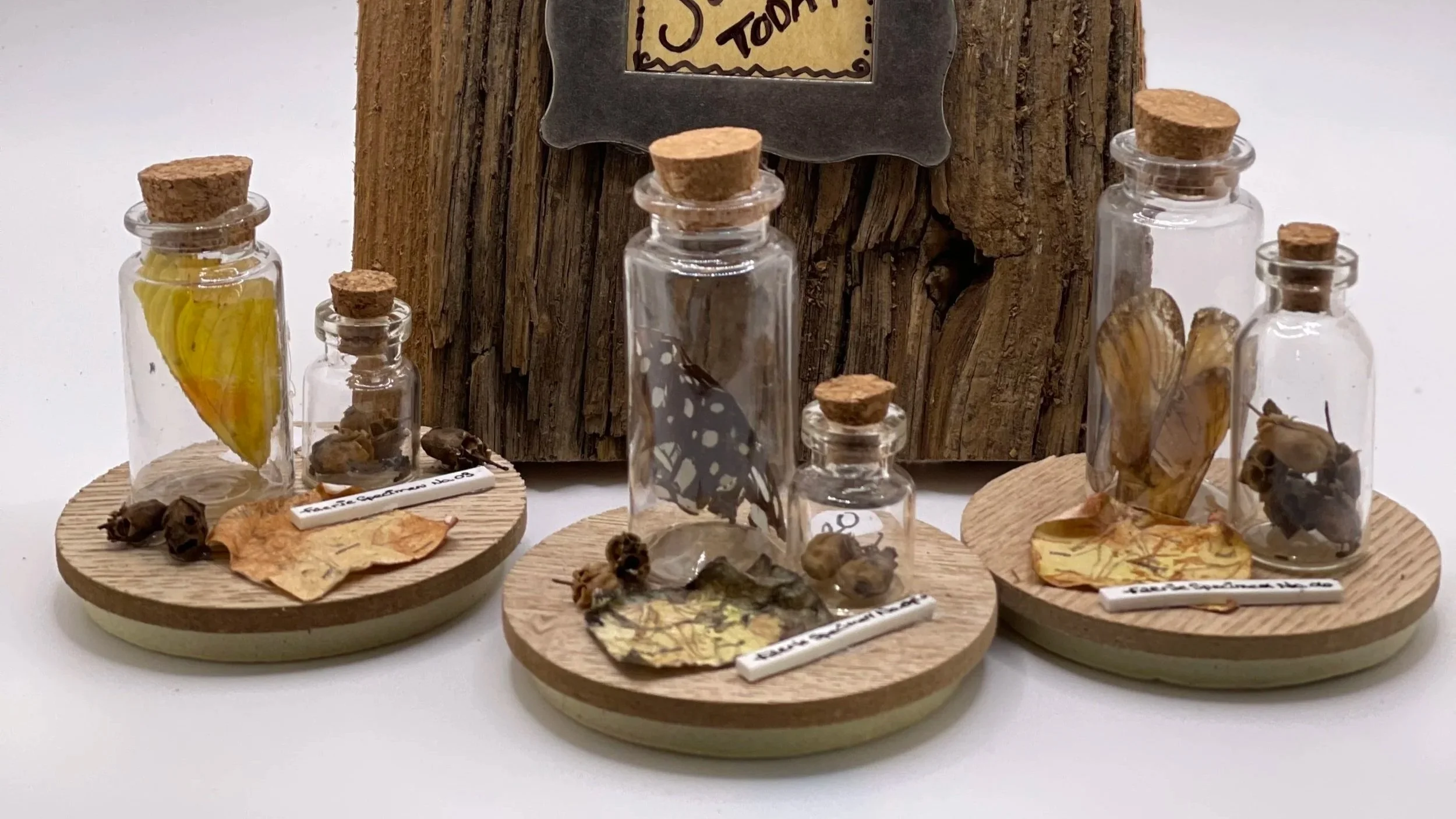IMG_5772.jpg