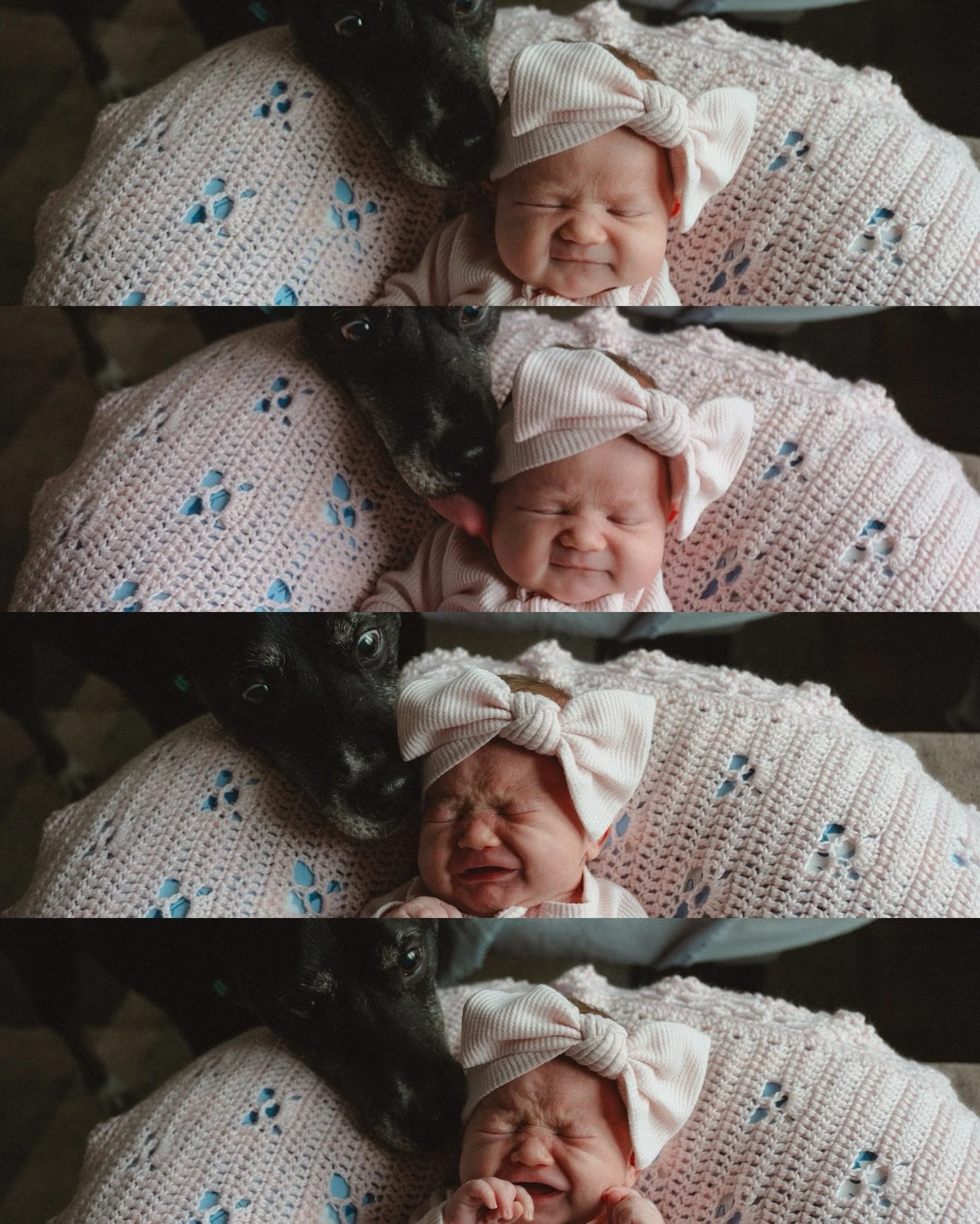 It&rsquo;s the wide eyes in pic 3 for me.