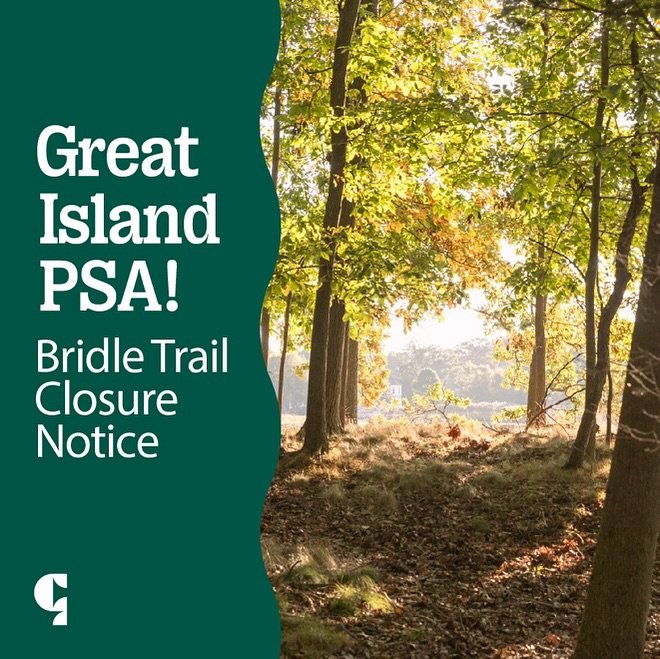 🦅✨ EAGLE ALERT! ✨🦅
A majestic pair of bald eagles has chosen Great Island as their nesting spot, and we&rsquo;re rolling out the VIP treatment! 🎉 To give them space to thrive, a section of the bridle trail will be temporarily closed from Feb 1 &nd