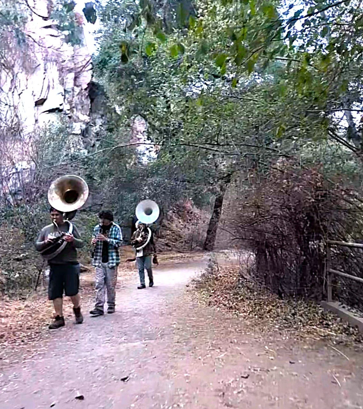 Tubas.jpeg