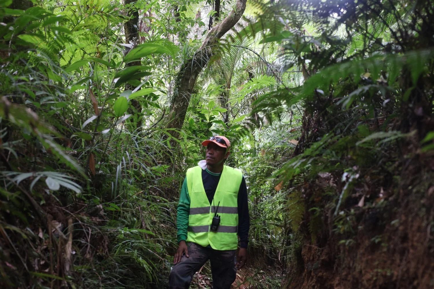 Mindanao Tree Planting Program for Climate and Communities (MinTrees)