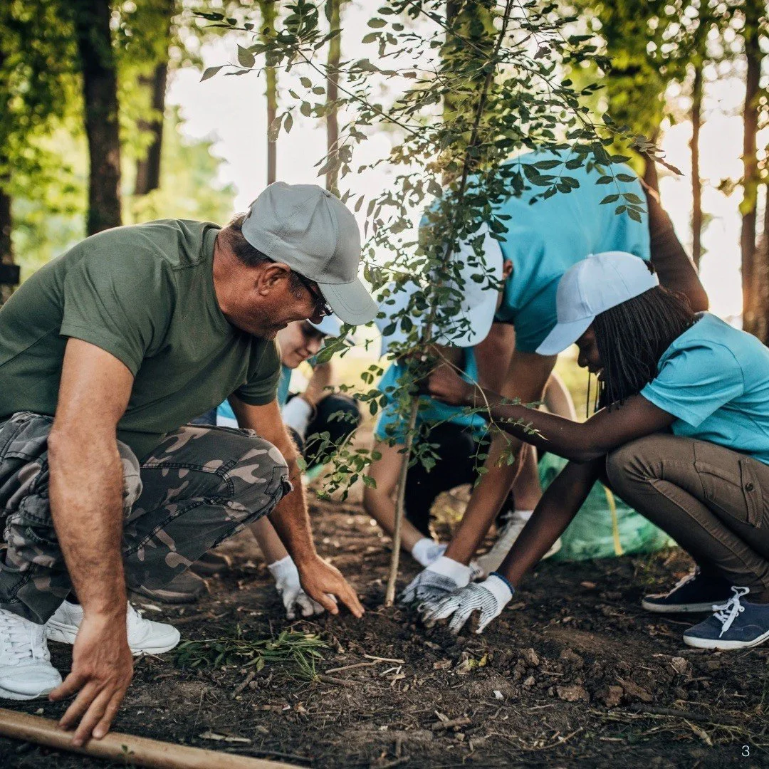 The UK’s Bold Commitment to Plant 20 Million Trees: A Step Towards a Greener Future