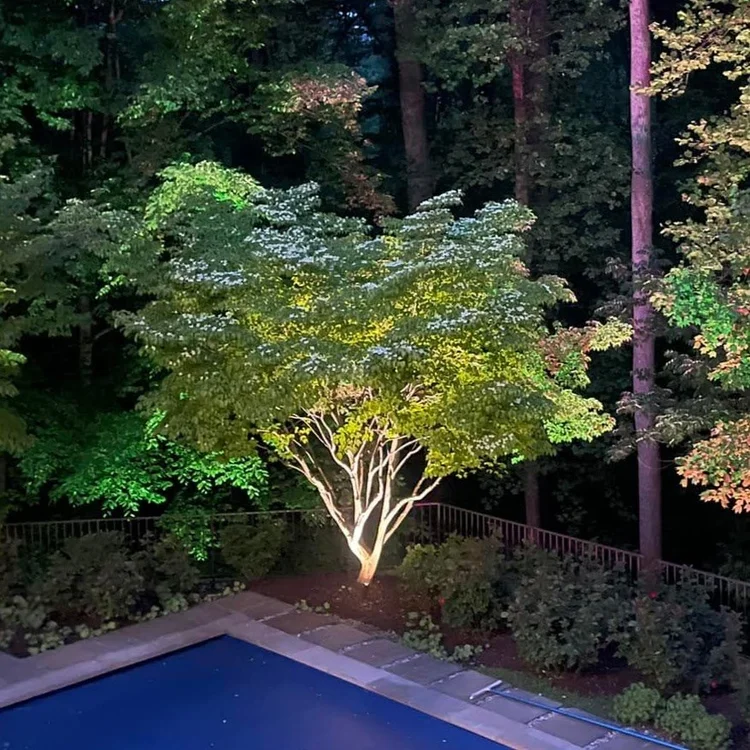 Uplighing on landscaping
