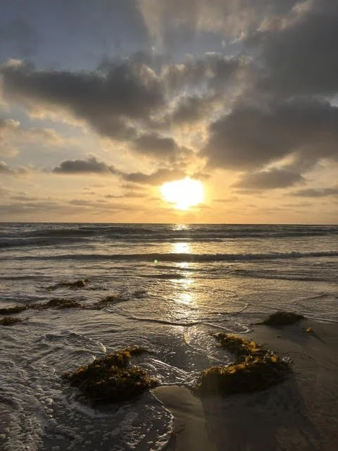 Finding Balance in Summer’s Beautiful Chaos
