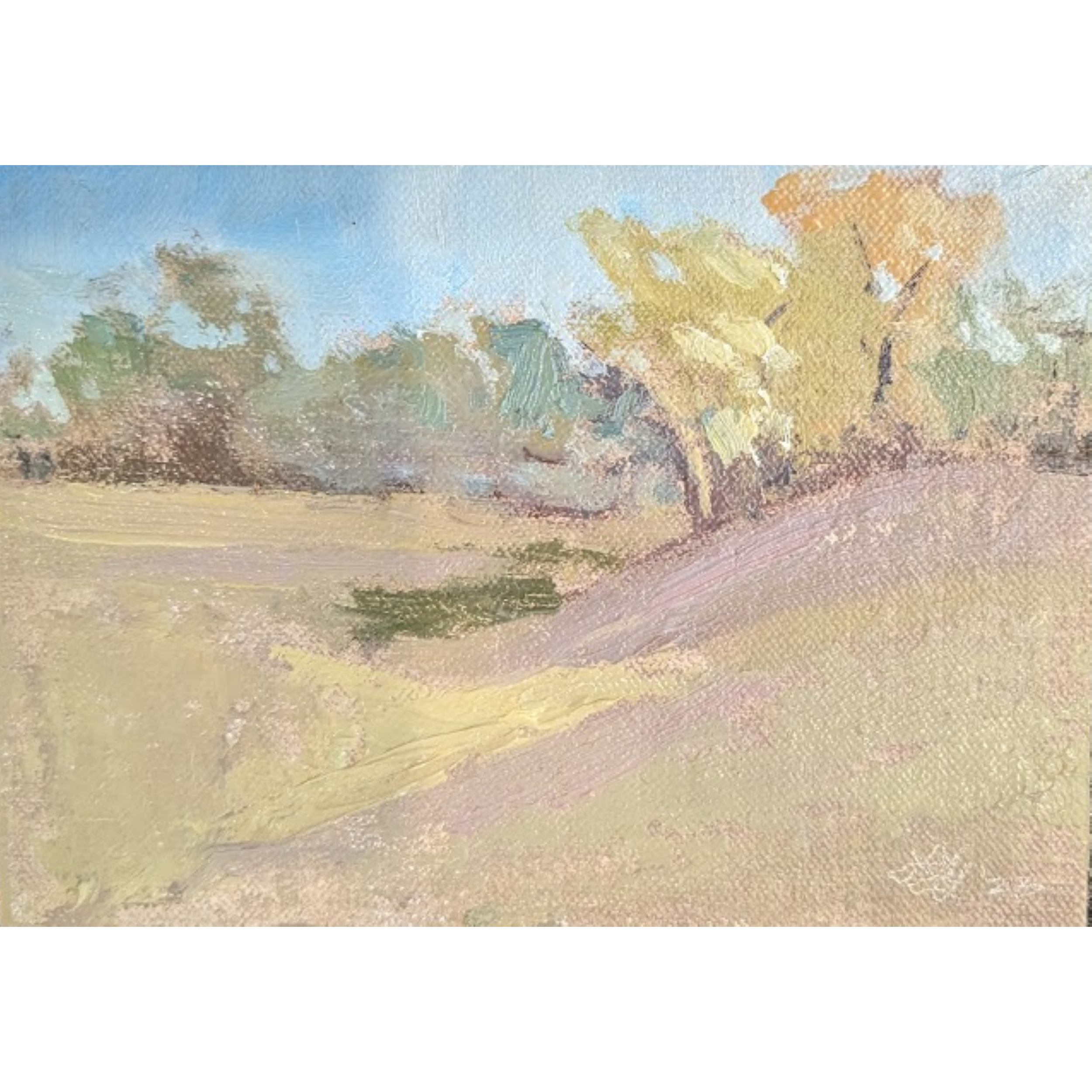 Distant Field in Spring