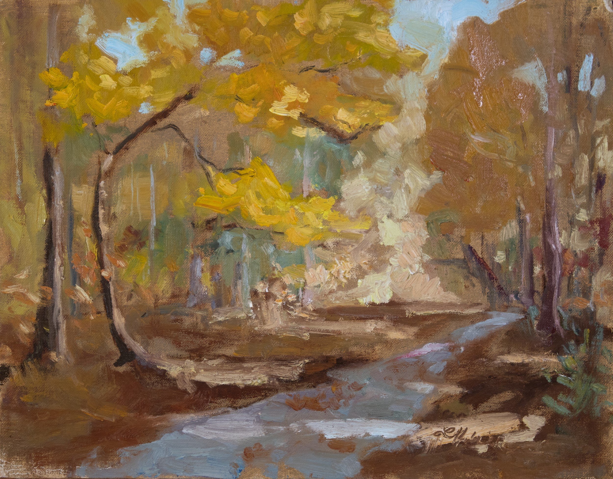 A Walk to the Lake in the Fall