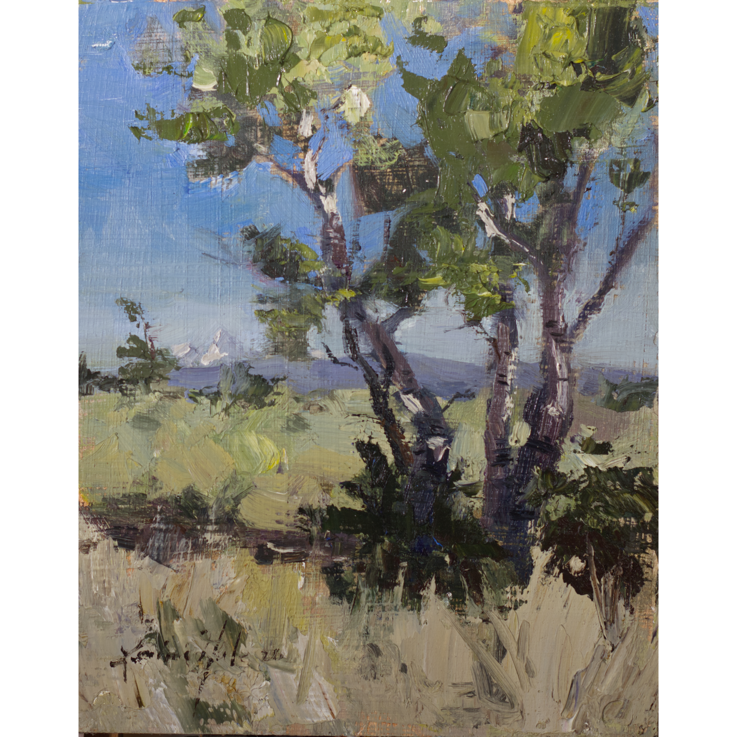 Paintings_Transparent_2026055.png