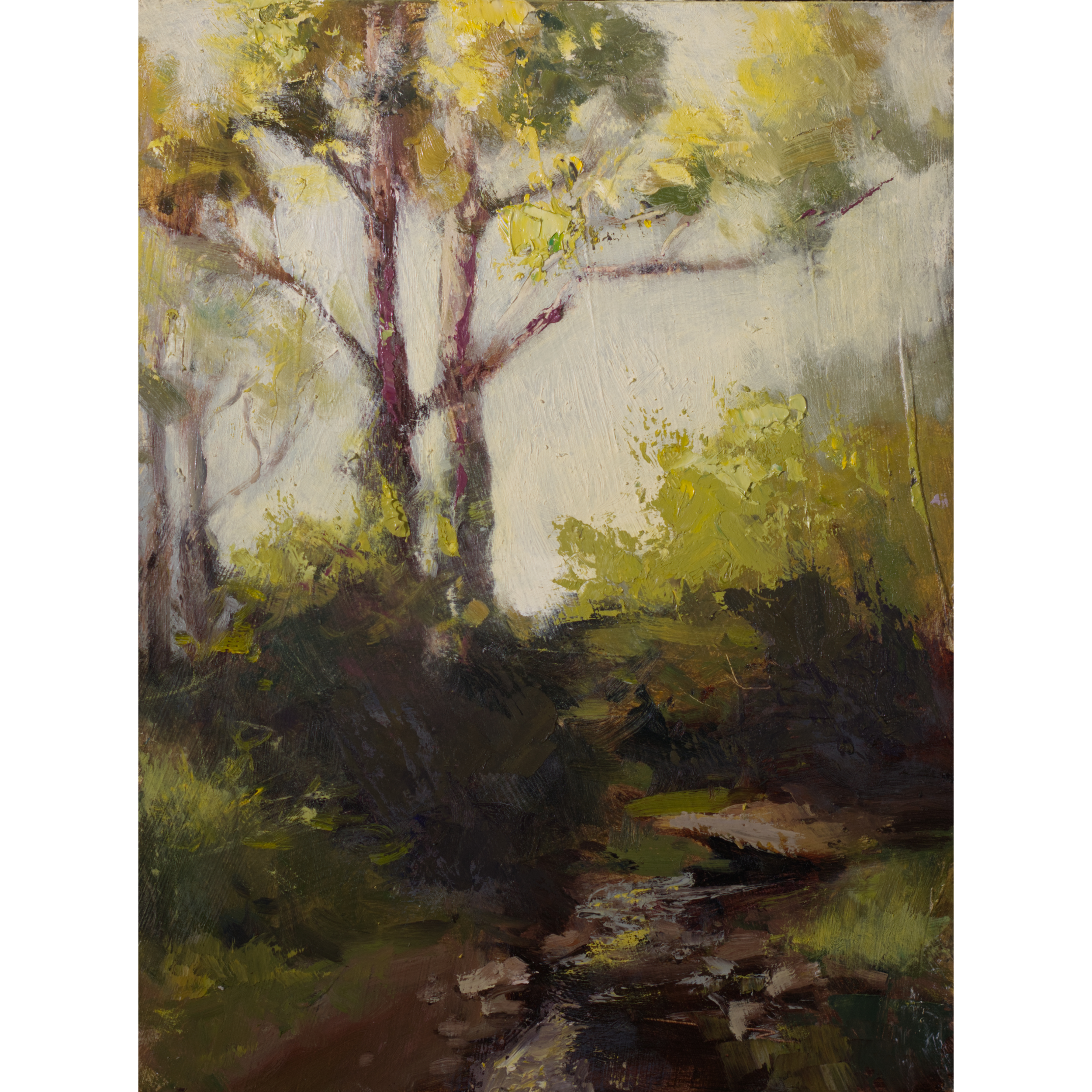 Paintings_Transparent_2026062.png