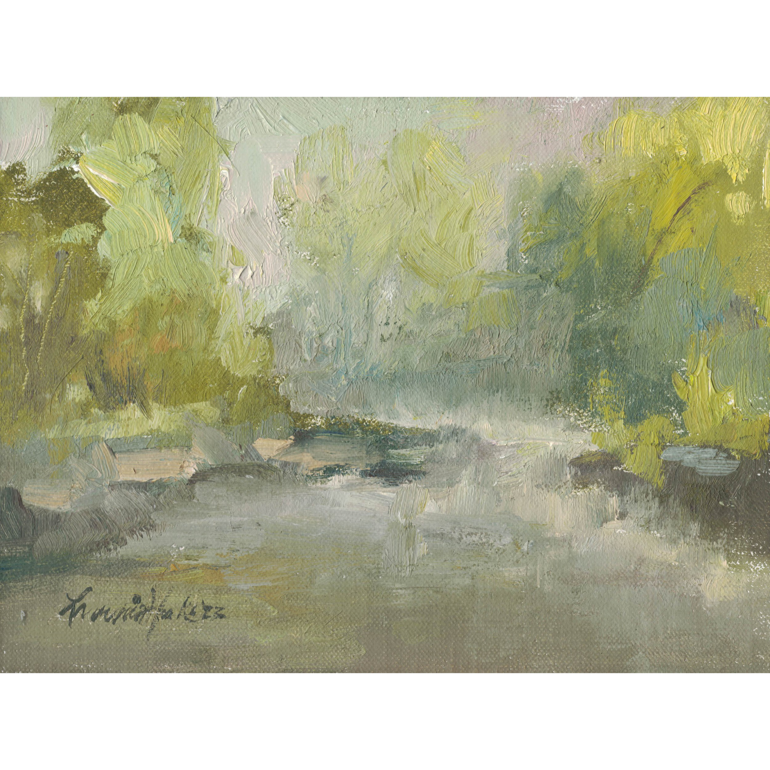 Morning Mist at Big Creek study