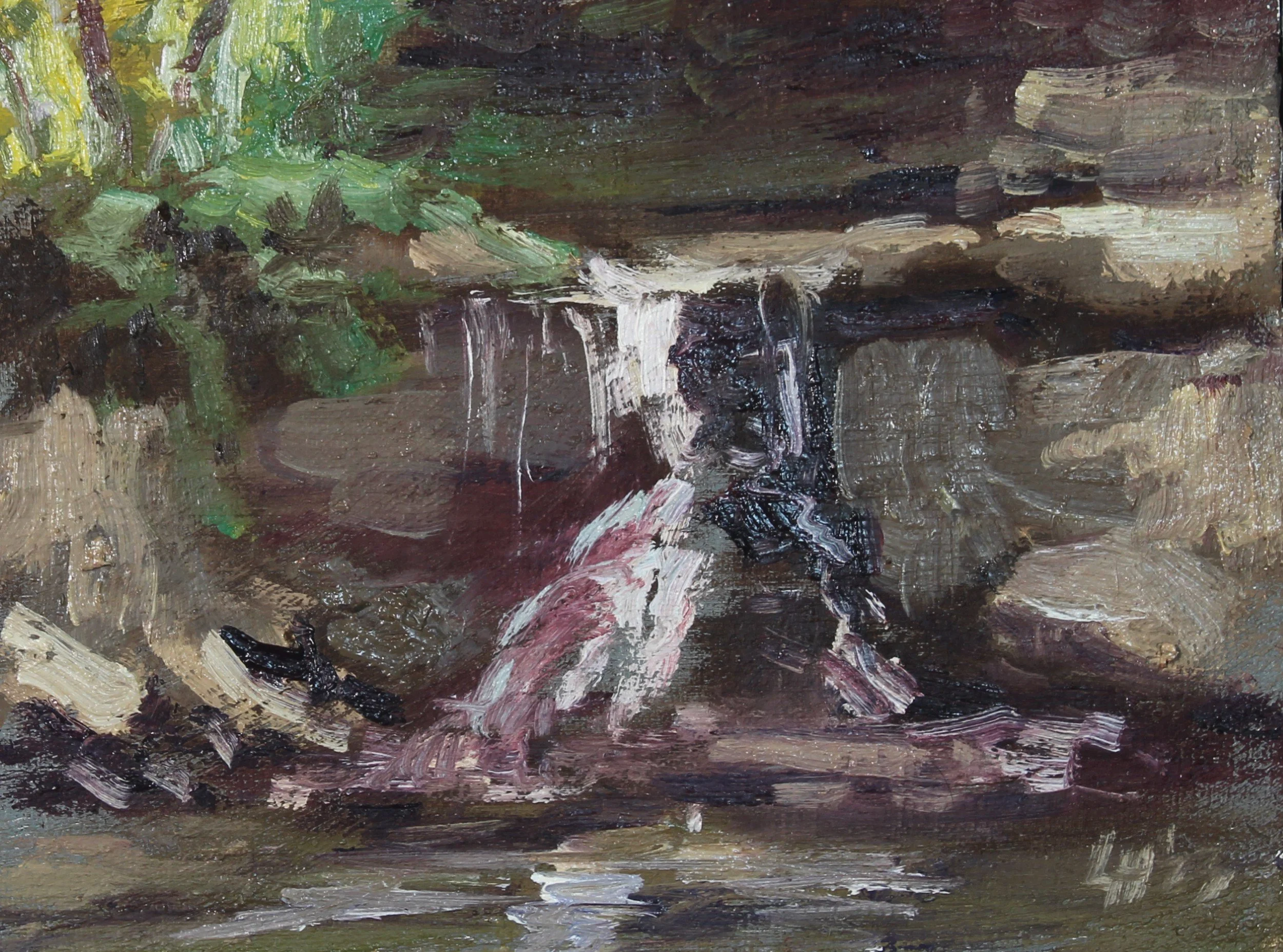 McCormick Creek Waterfall Study