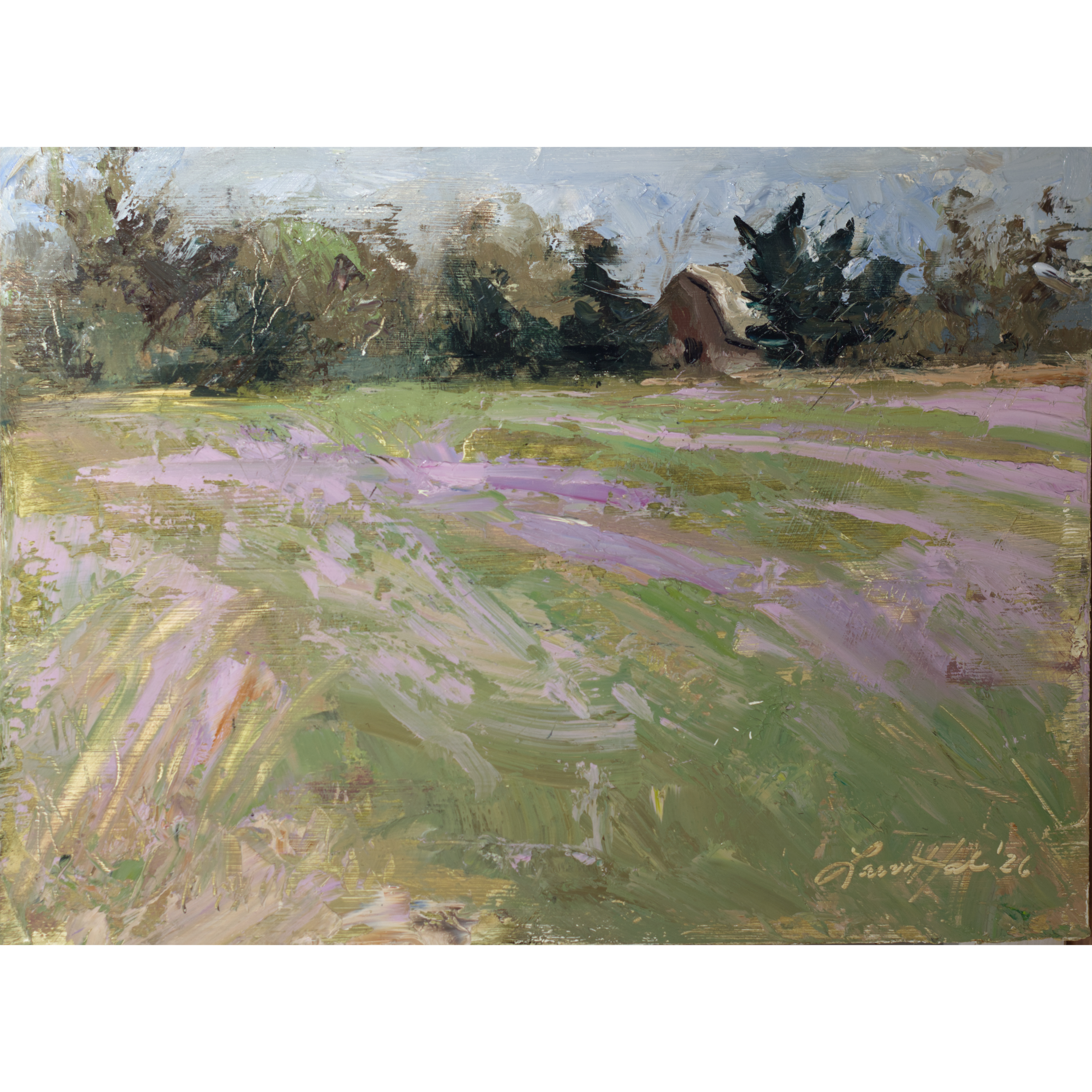 Carpets of Pink