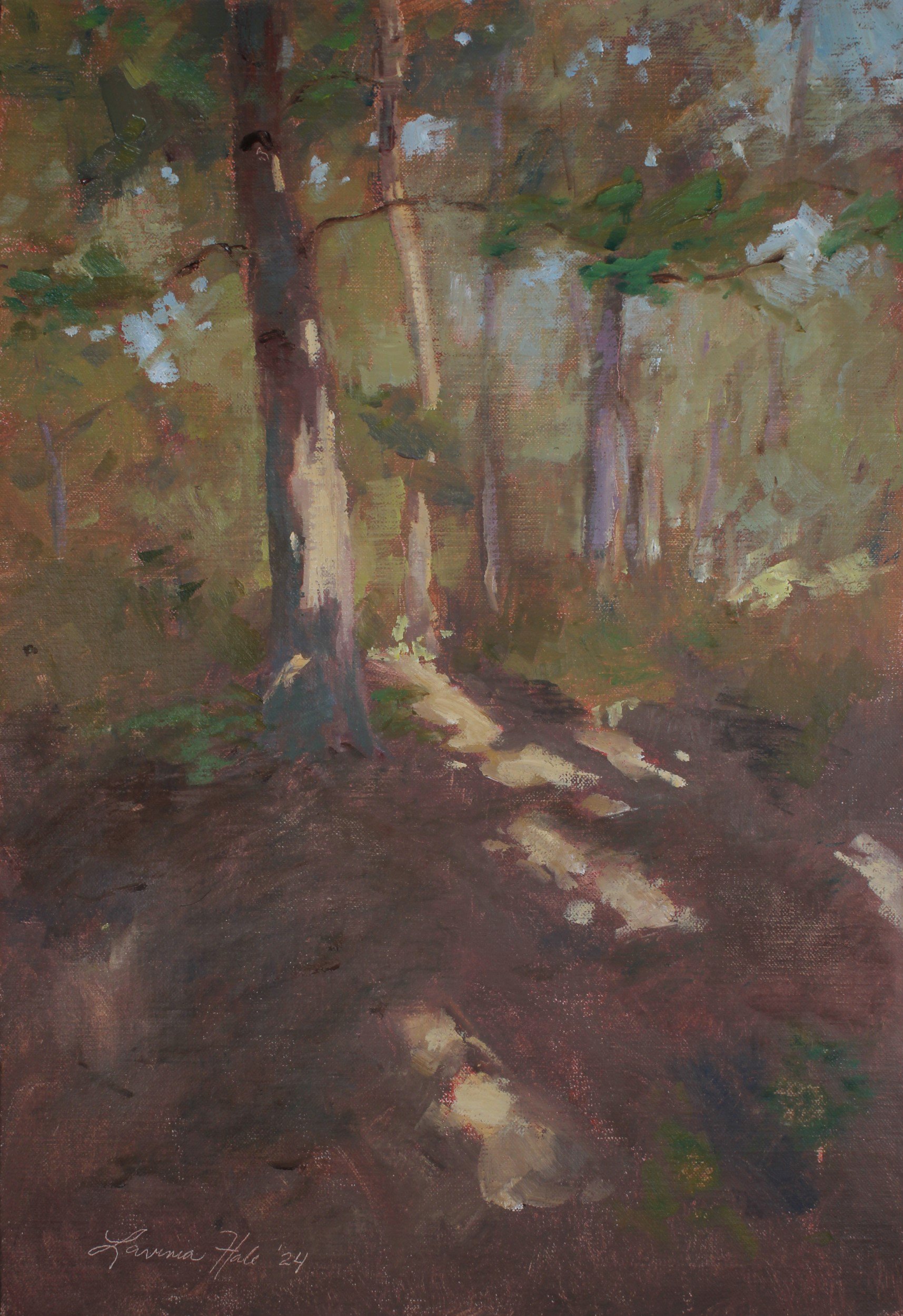 Sunlit Path at Jackson Schnyder