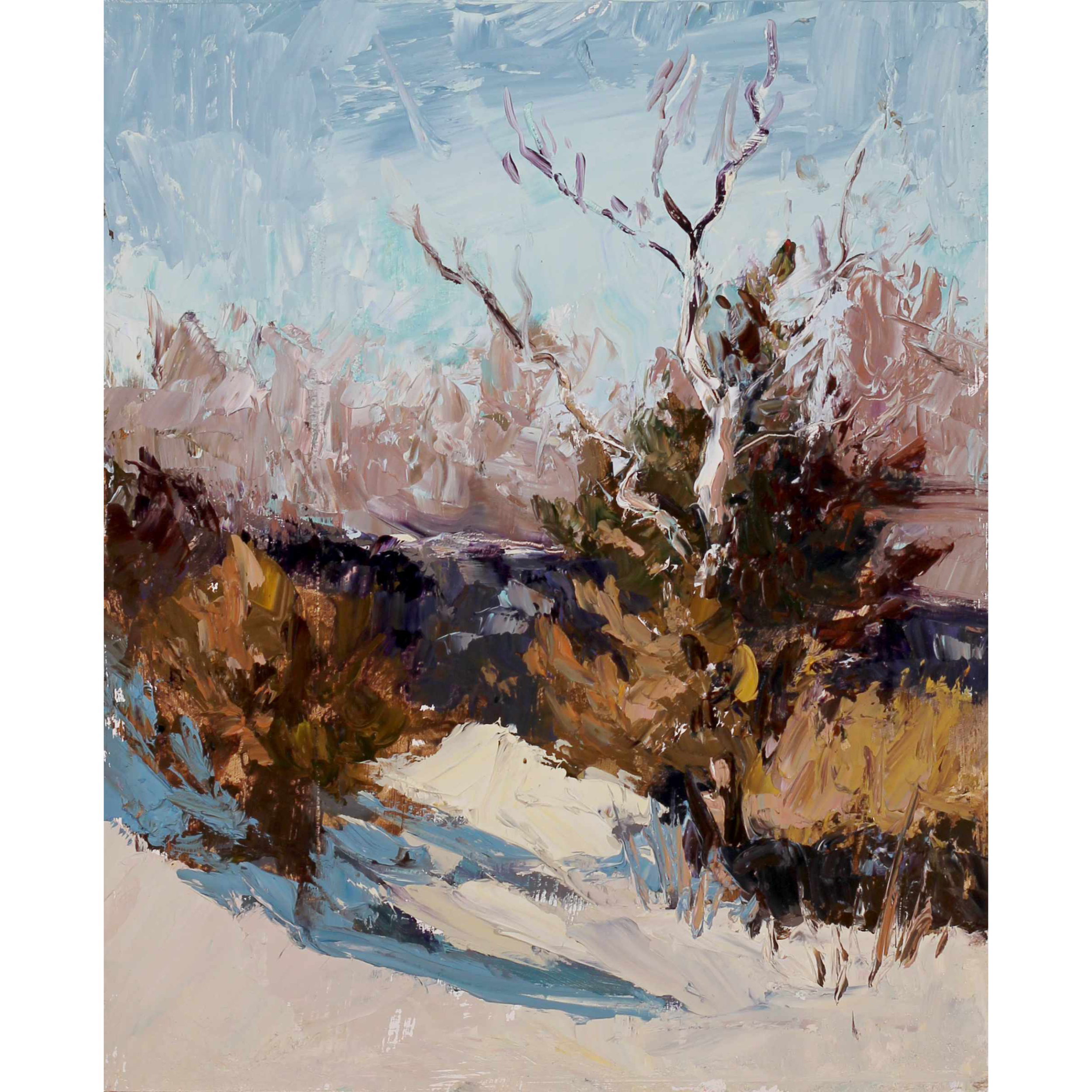 Snowbanks of the Quarry