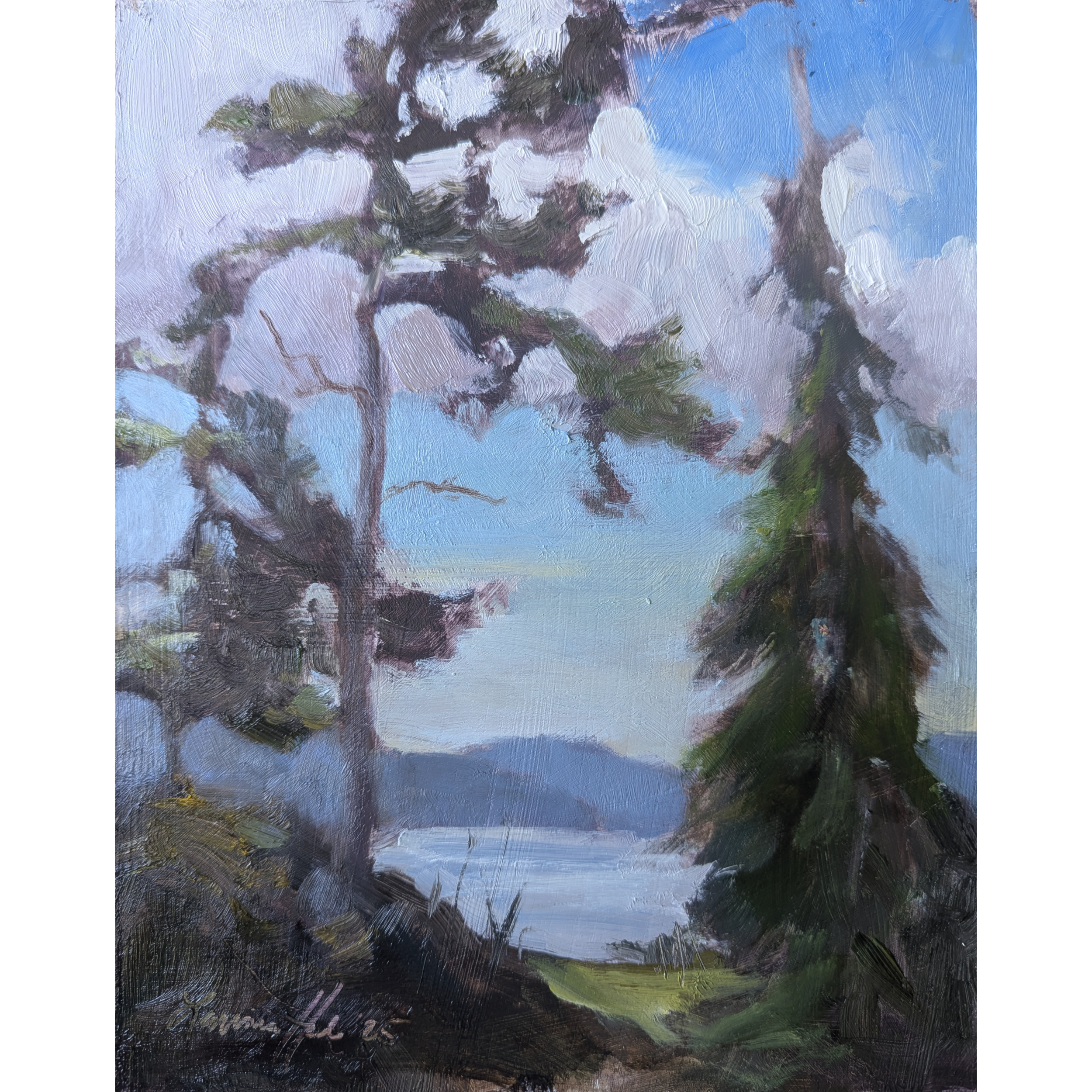 Paintings_Transparent_2025042.png