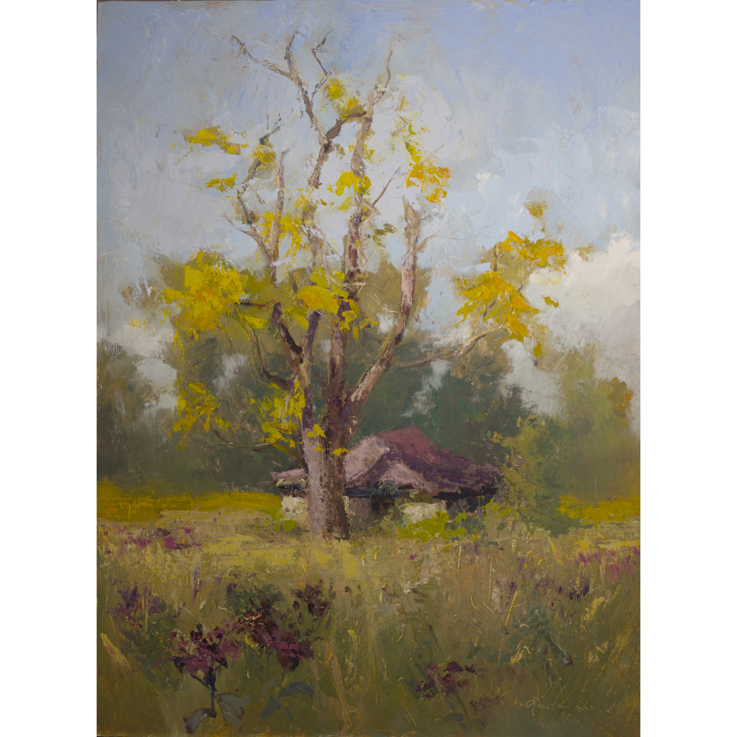 Paintings_Transparent_2026075.png