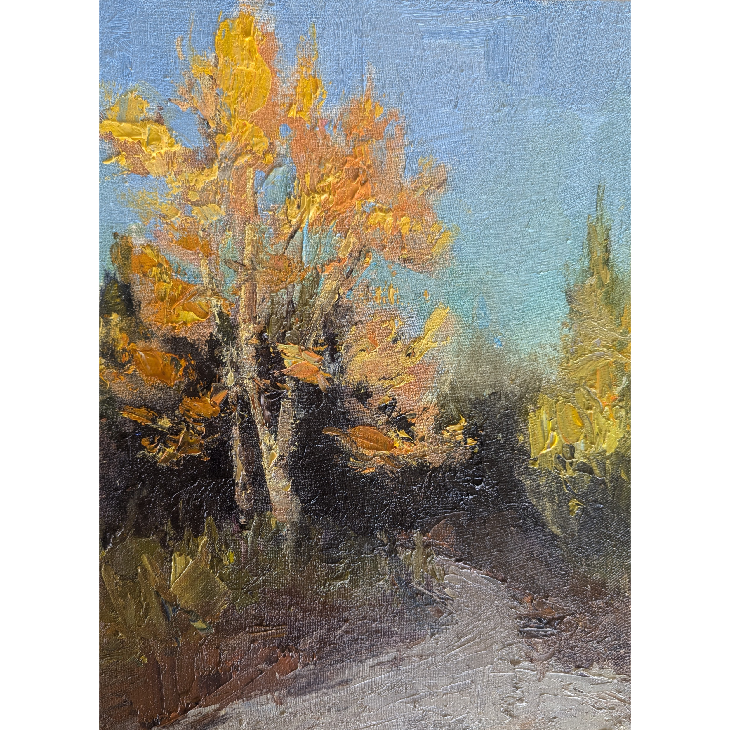 Sycamore at the Quarry