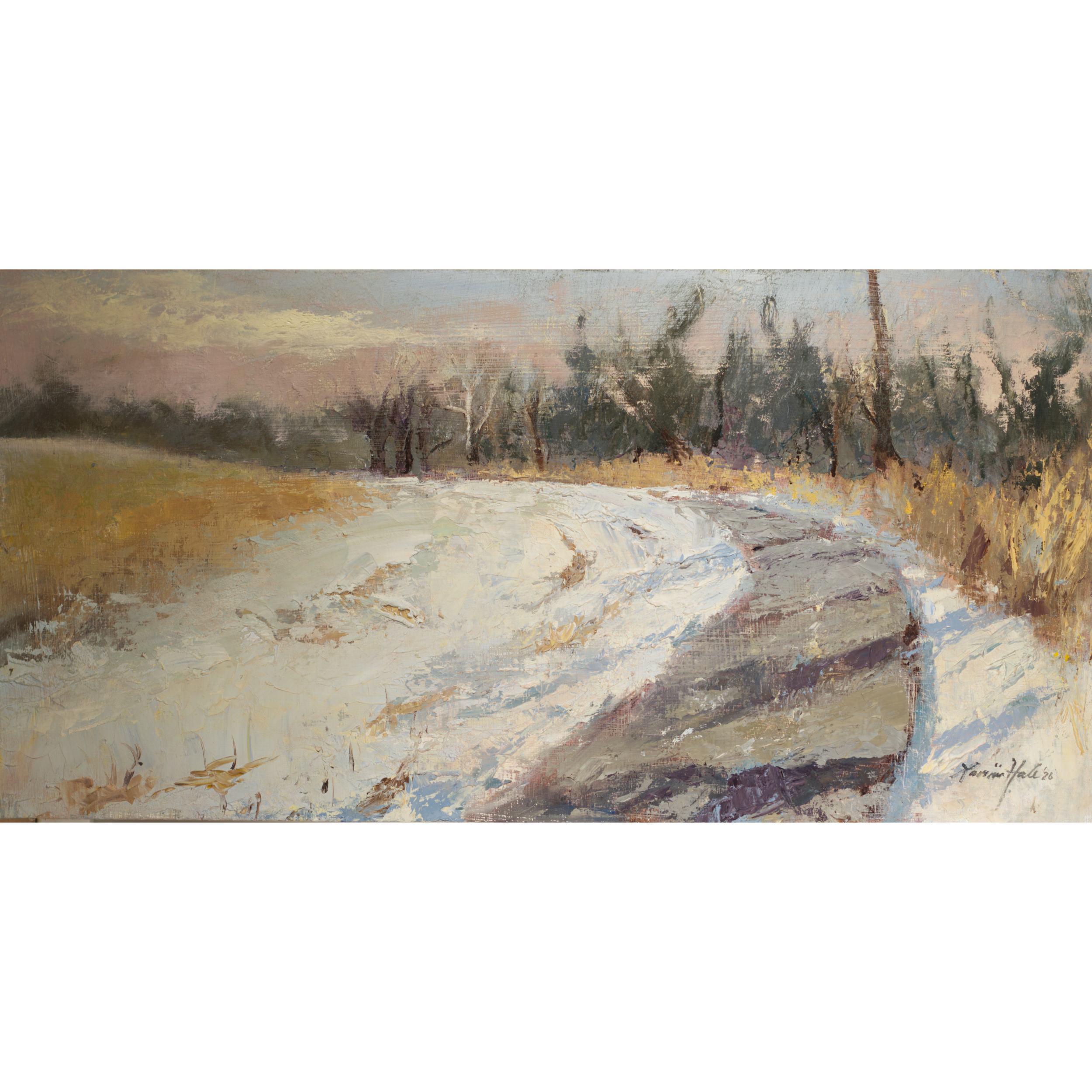 Last of the Snow