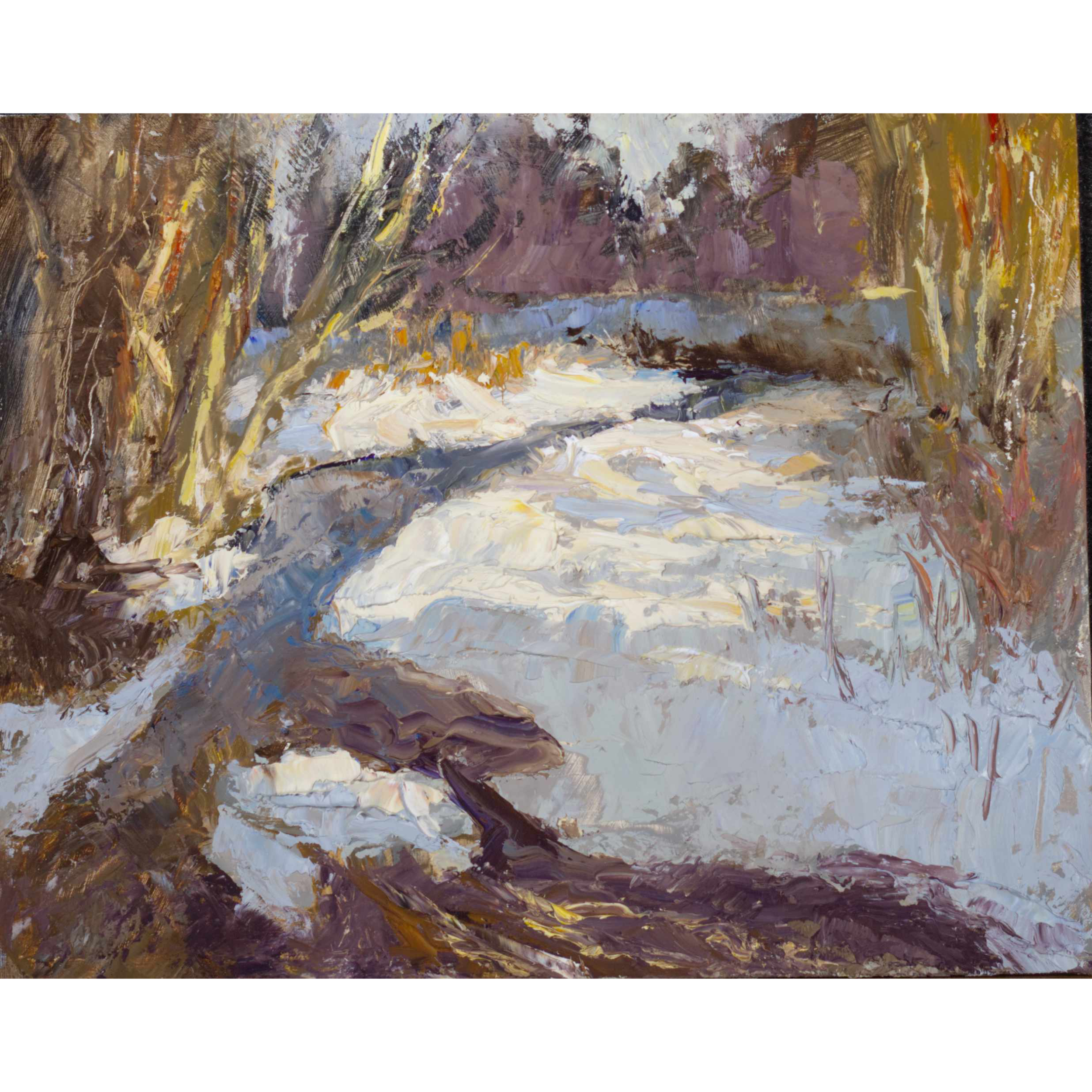 Frozen Bends of Big Walnut