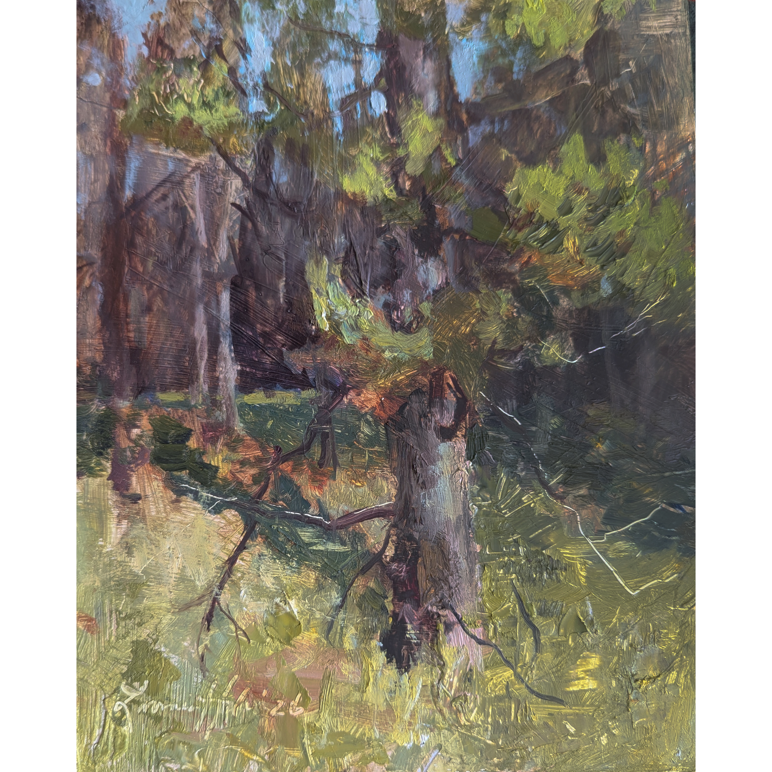 Paintings_Transparent_2026067.png