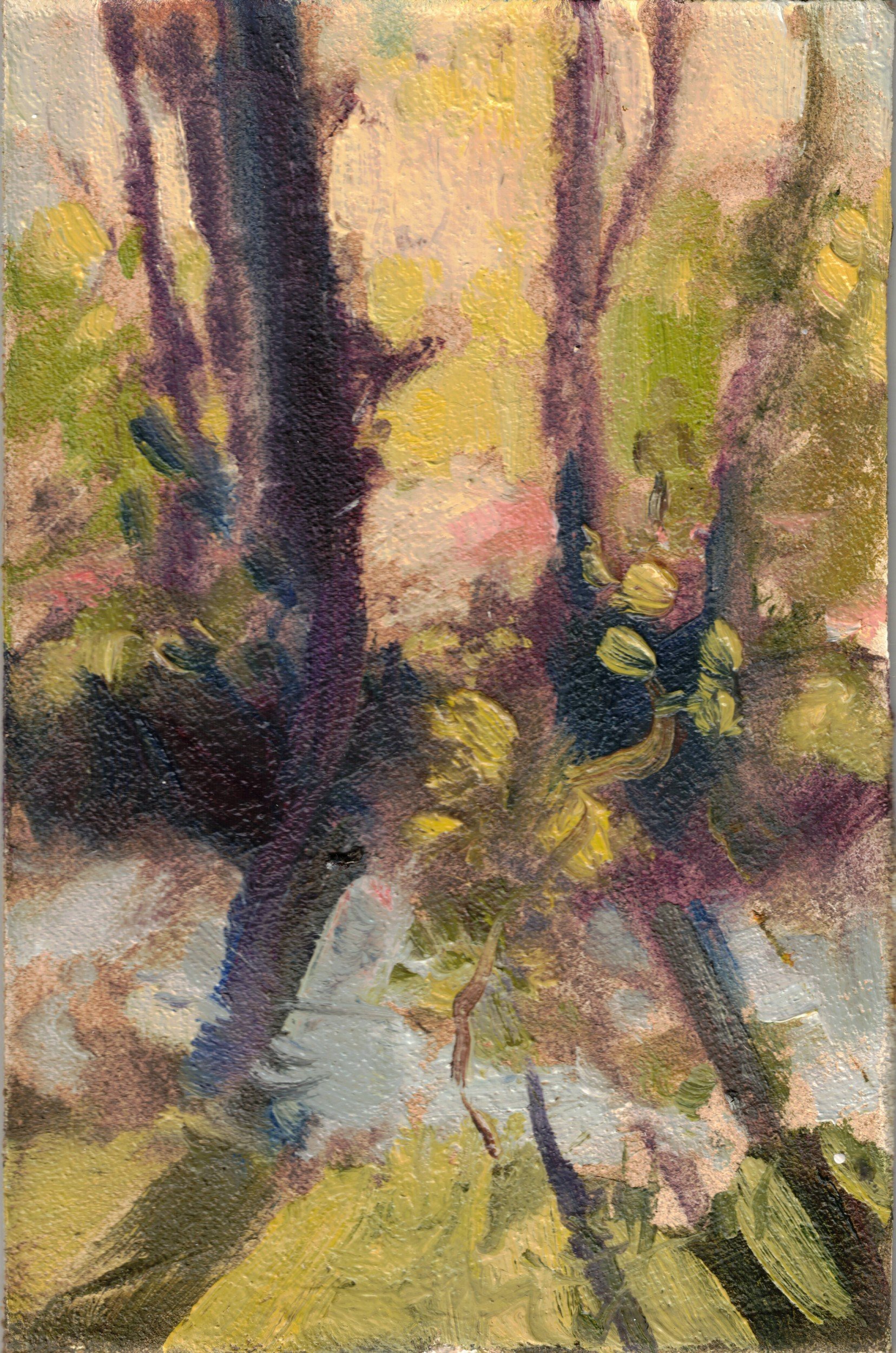 Backlit Boundaries Study