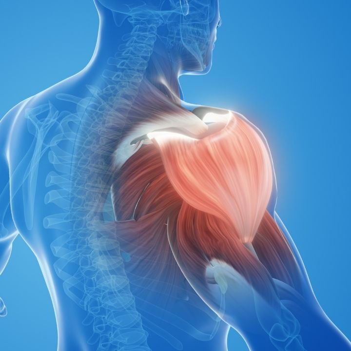 Shoulder pain and frozen shoulder treatment using physiotherapy and Ayurvedic techniques to improve mobility and reduce stiffness in Leicester.