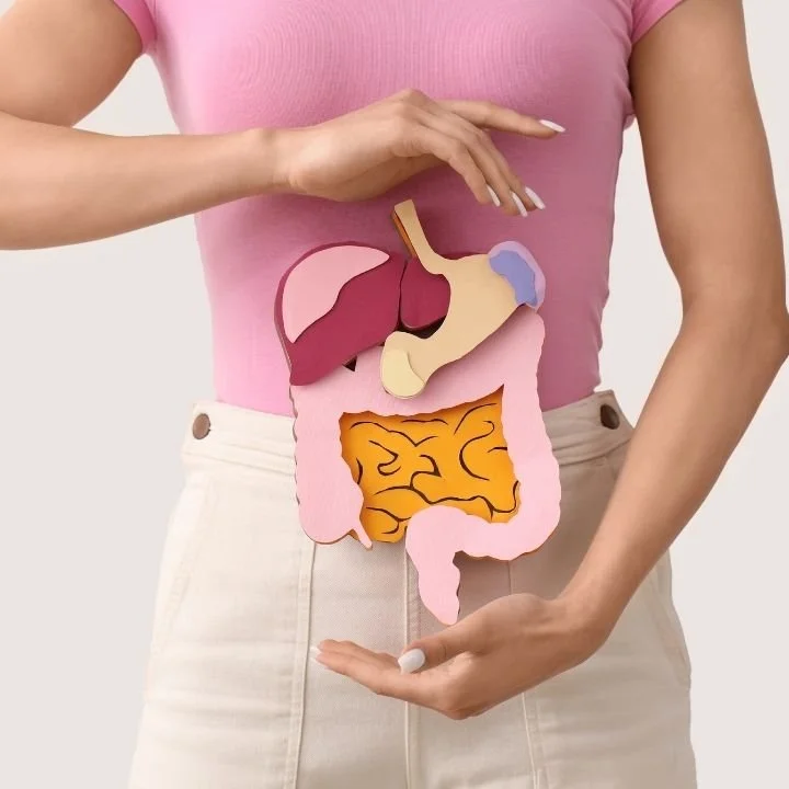 Digestive and gut health packages in Leicester including colon hydrotherapy digestive support and guidance