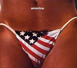 The Black Crowes - Amorica LP