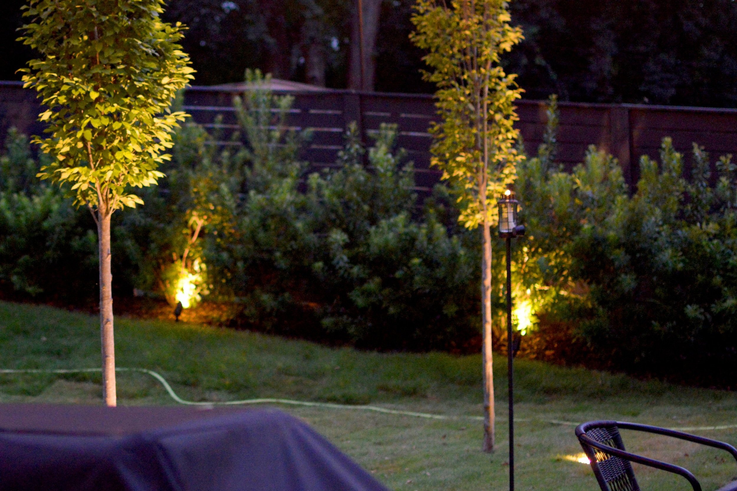 string lights on 2.jpg