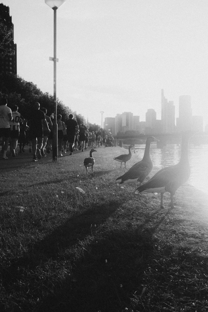 Groß (Midnightmiles_Frankfurt_by @paulinjnz00115).jpeg